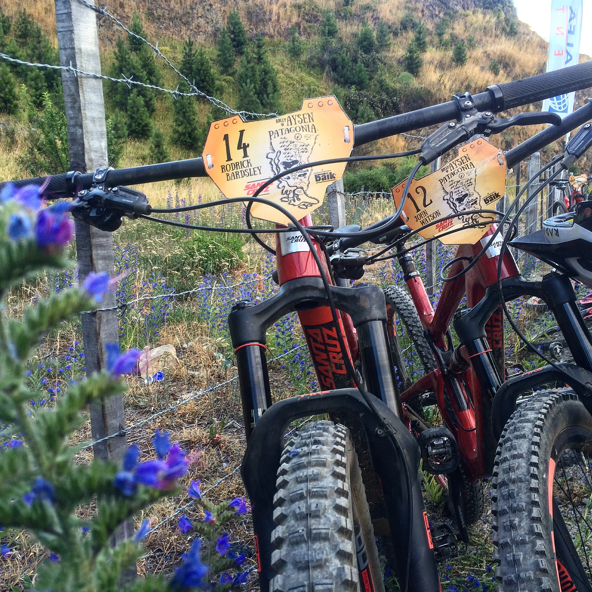 I told you guys me and The Radavist are homies didn't I ? He's rad but he doesn't get as much travel as me (check the fork travel). There you can see the legally correct spelling for my full name as it appears on my passport (that was the number plate criteria) Patagonia, Chile with the Hightower and team Santa Cruz bicycles photo : therodfather