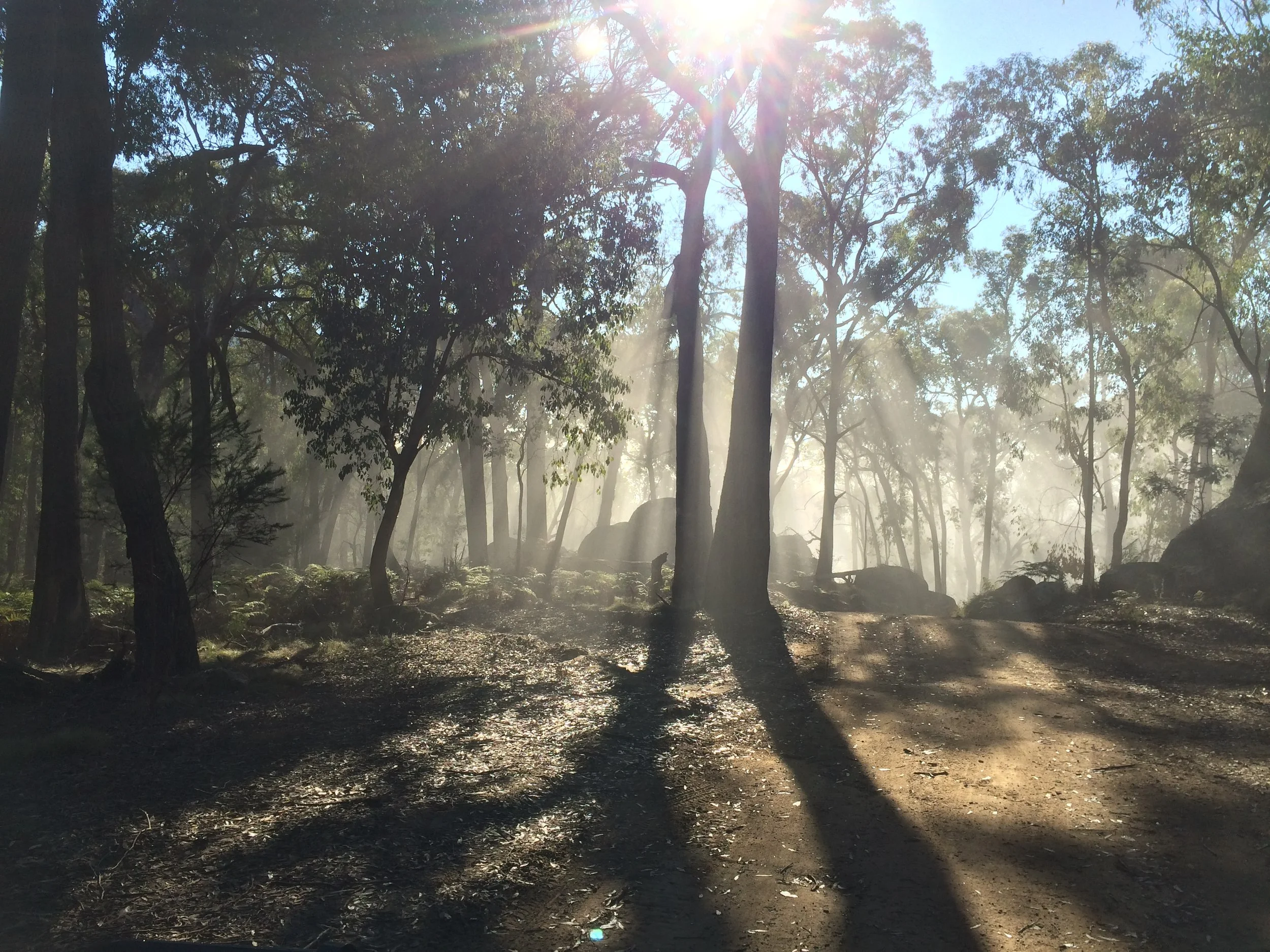 Bonnie Doon MTB Park, Melbourne, Australia photo : therodfather