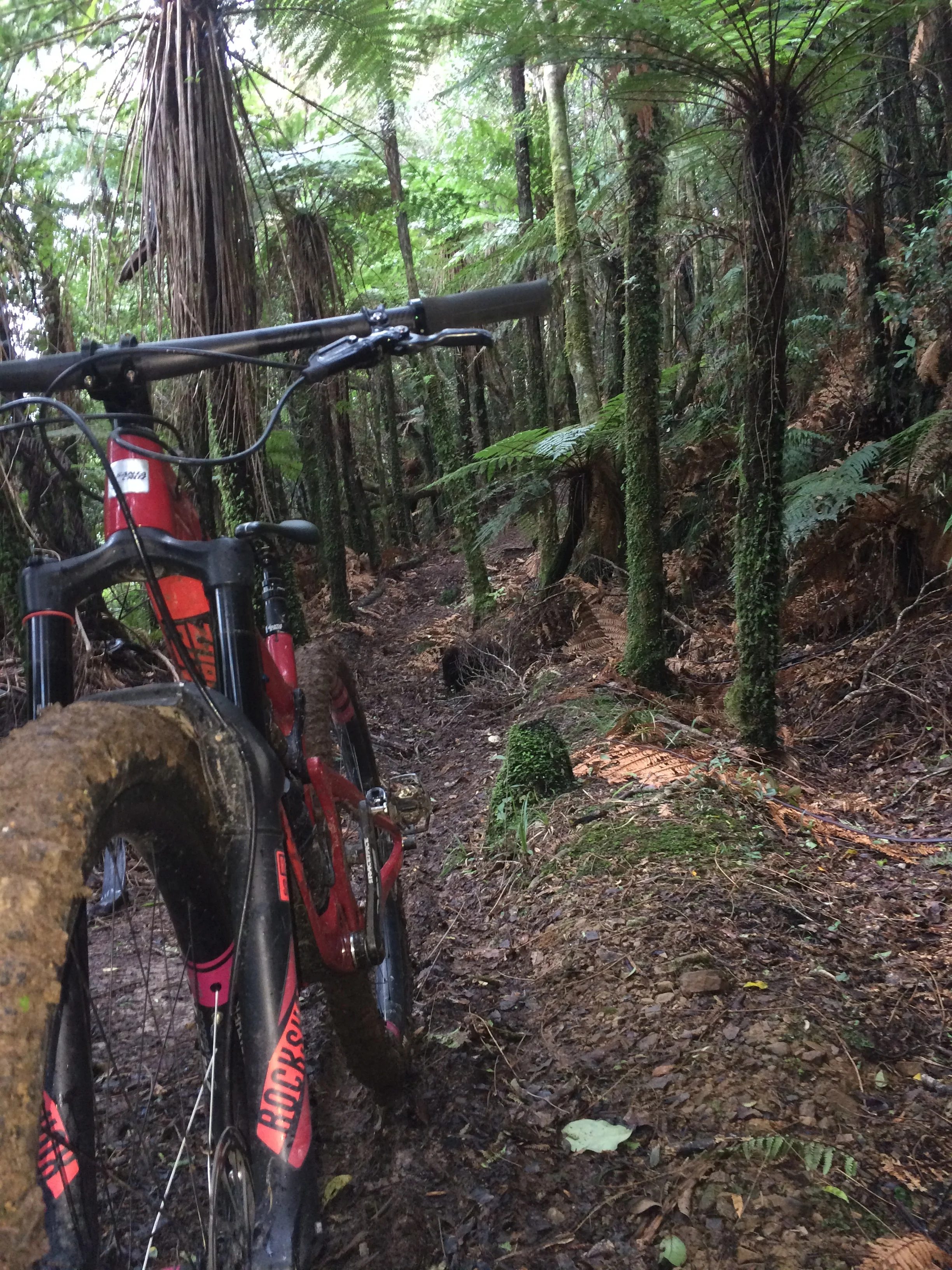 Technical, damp, dark, native, quiet, loamy, slippery and fun. If that sounds like you, then the Akas is your kind of place.