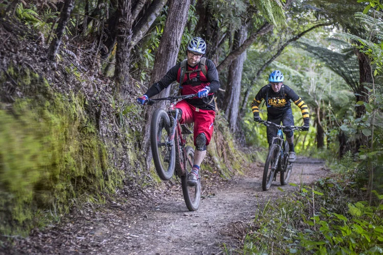 A sunny but cold weekend in Marlborough