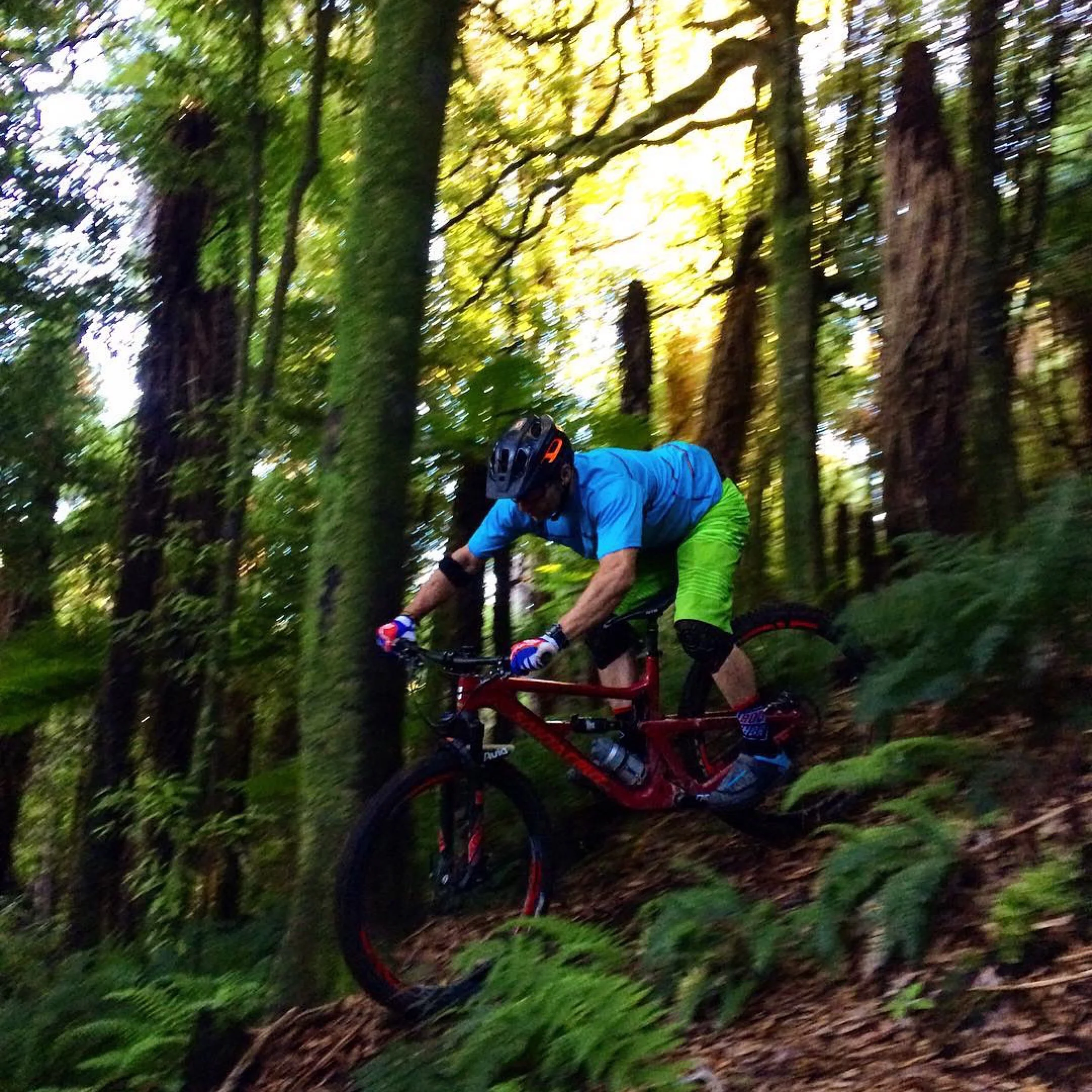 This trail might be illegal. I'm too afraid to find the truth.