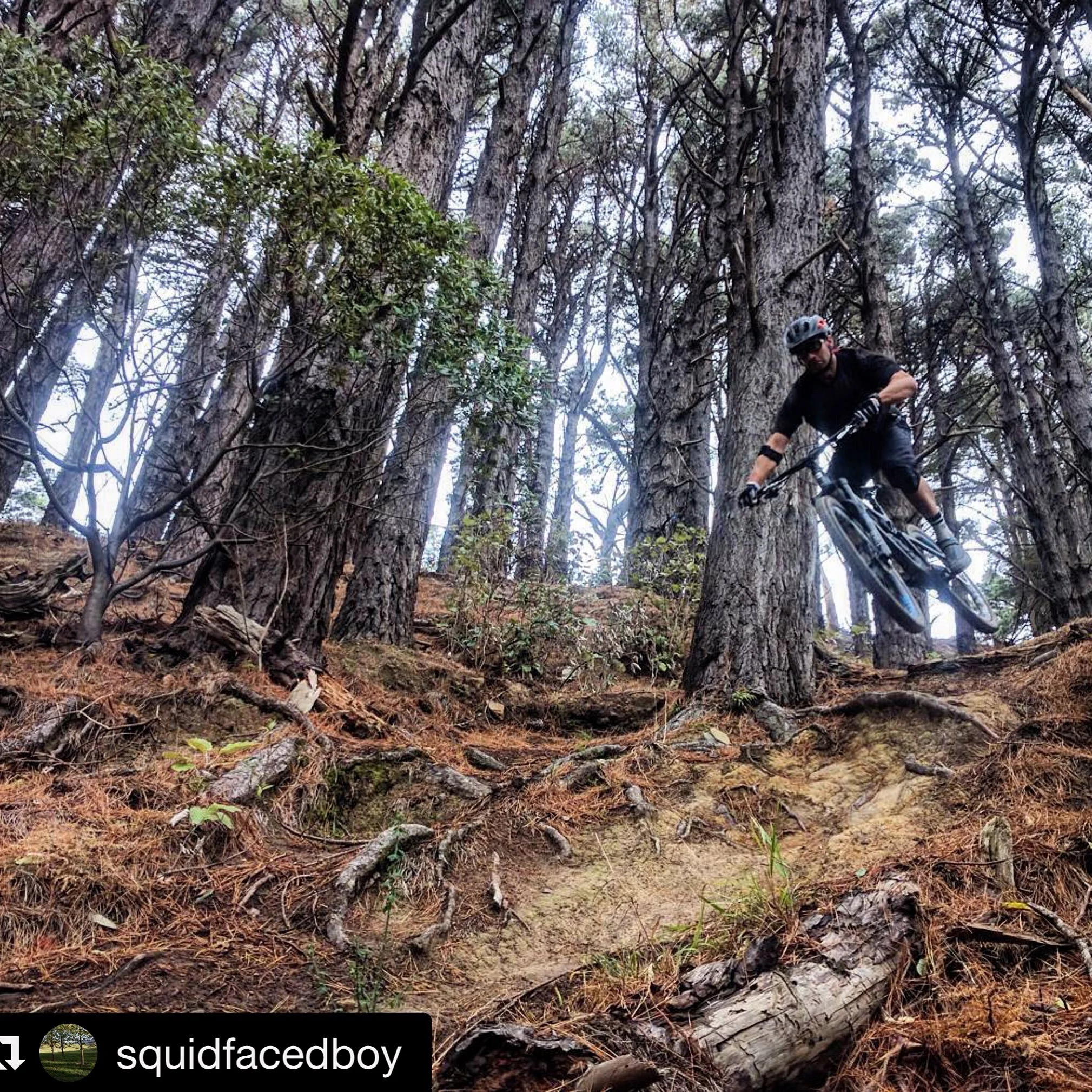 This trail used to be illegal until we fought in the trenches for it. V-trail, Mt. Vic. rider : yours truly photo : A boy with a face like a squid.