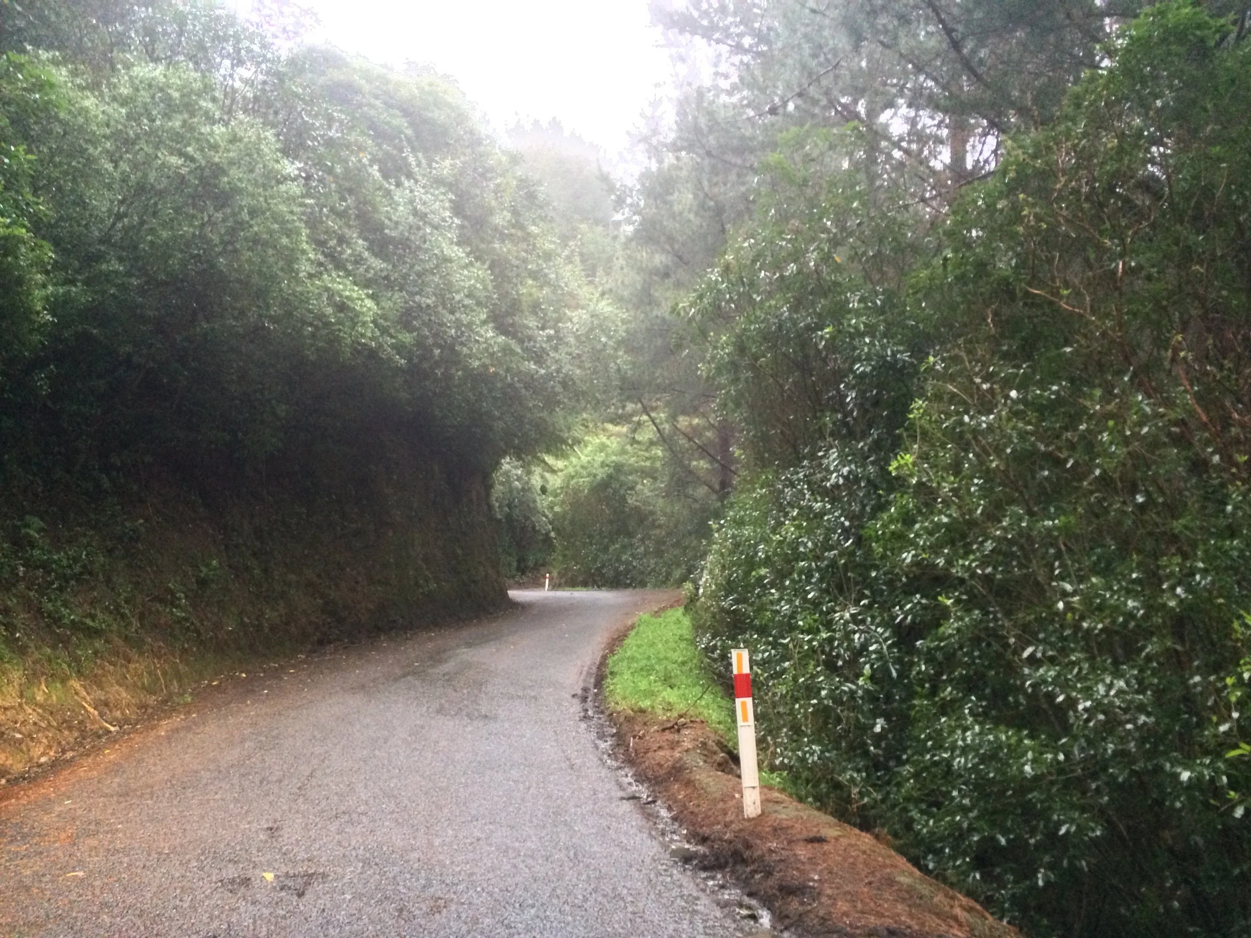 Heading in via a wee shortcut. Rain and mist and all alone.