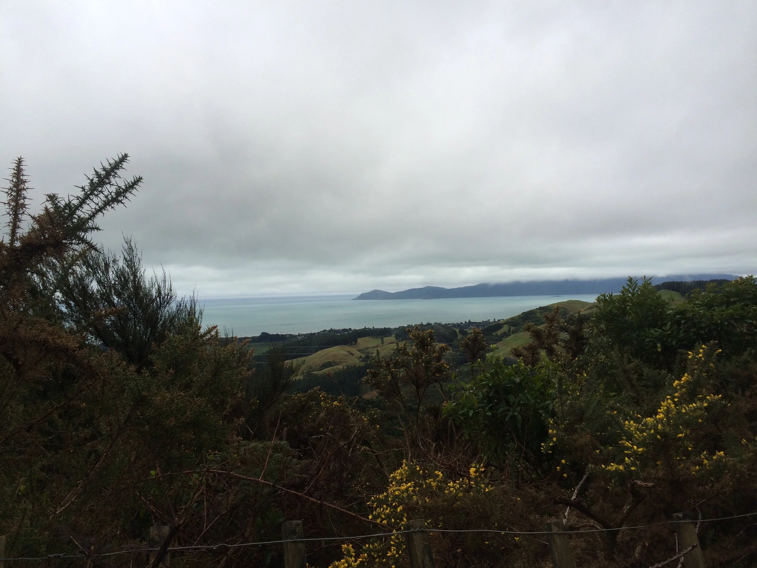 Goodbye Kapiti. Hope I make it back out.