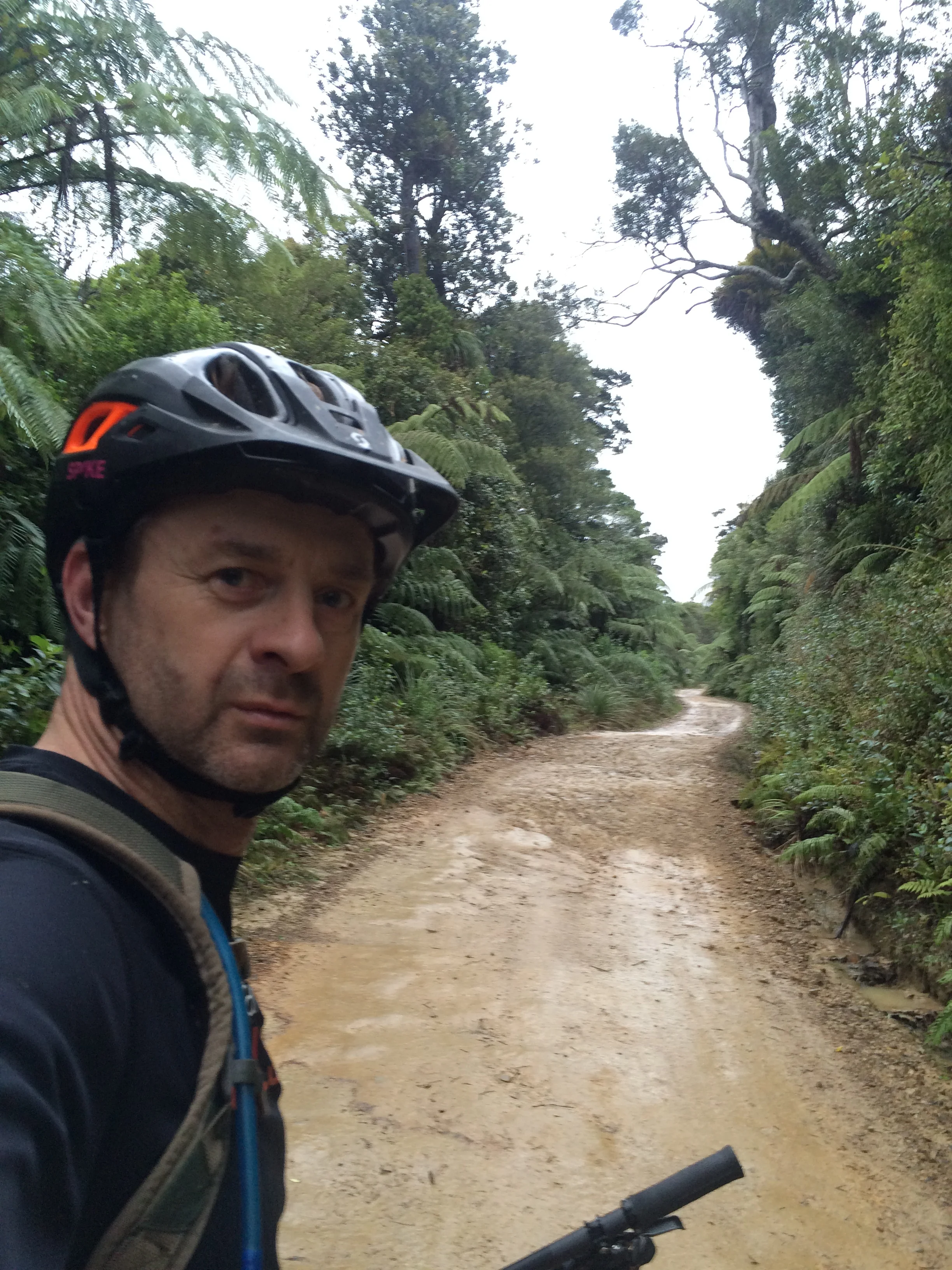 As far as climbing goes you cant beat a smooth gentle one.