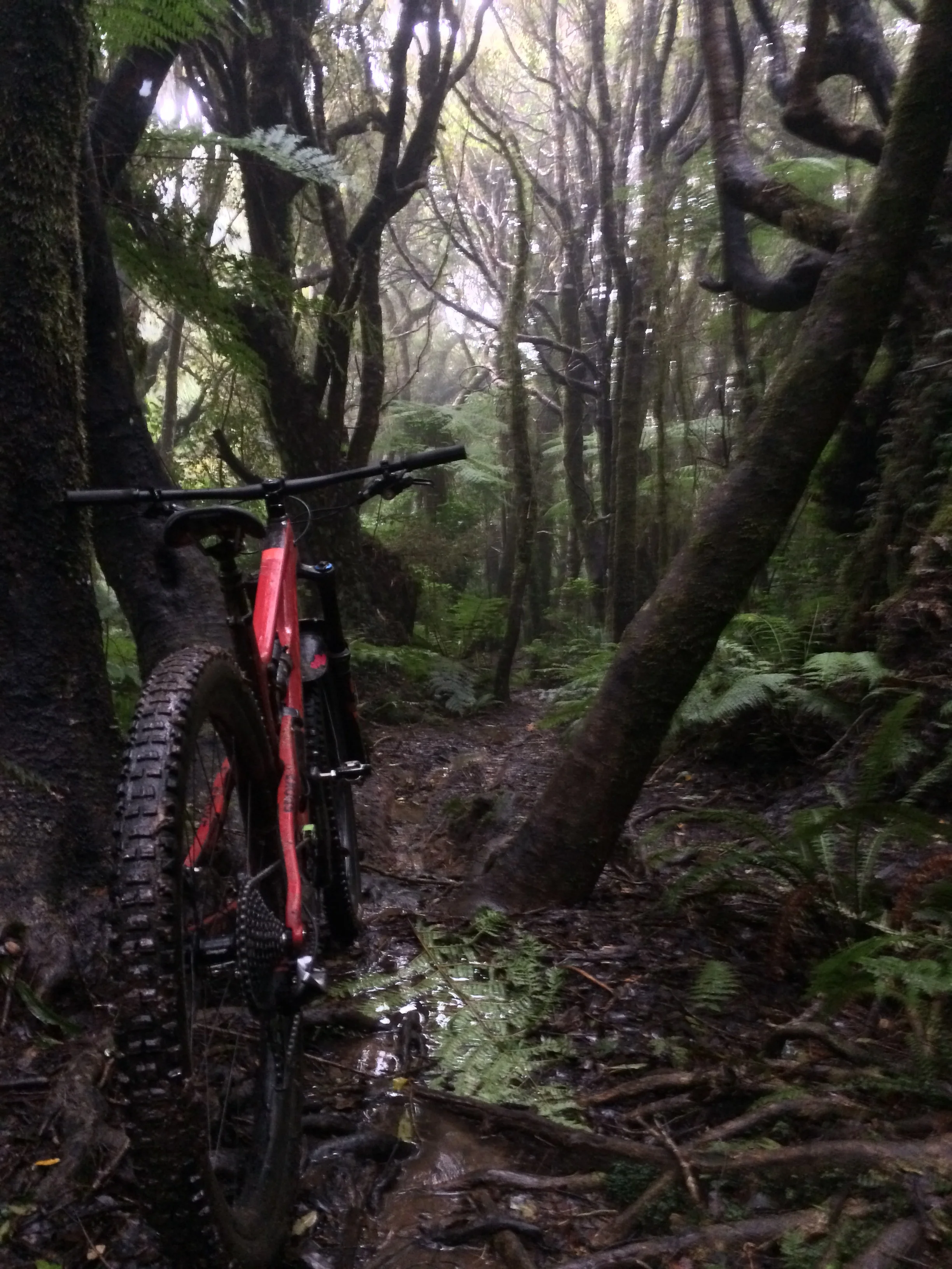 This is where I may have soiled myself (the first time). It almost makes wet riding something to yearn for.