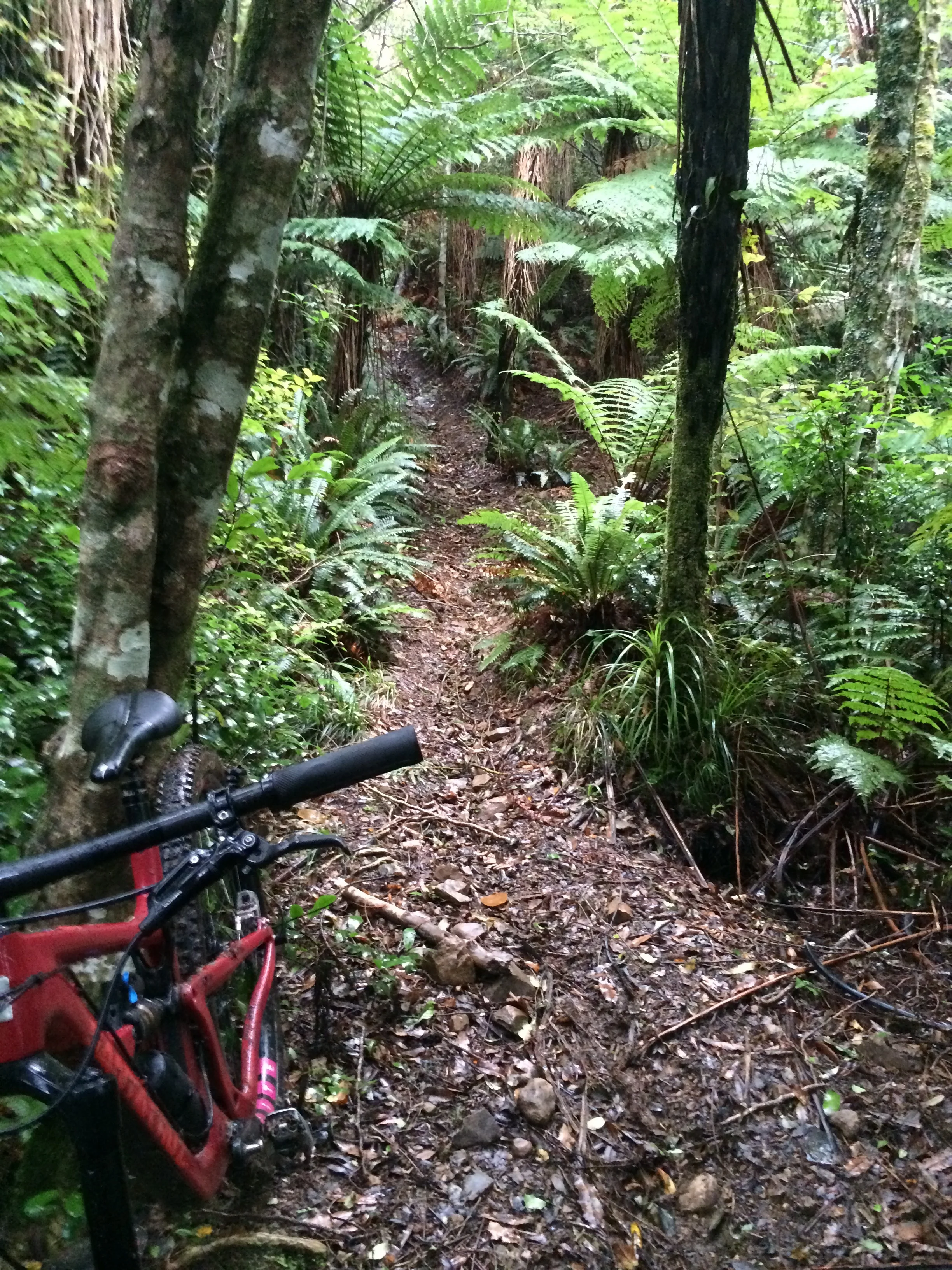 It doesn't look it but it was very steep and I had to stop here and congratulate myself for not binning it.