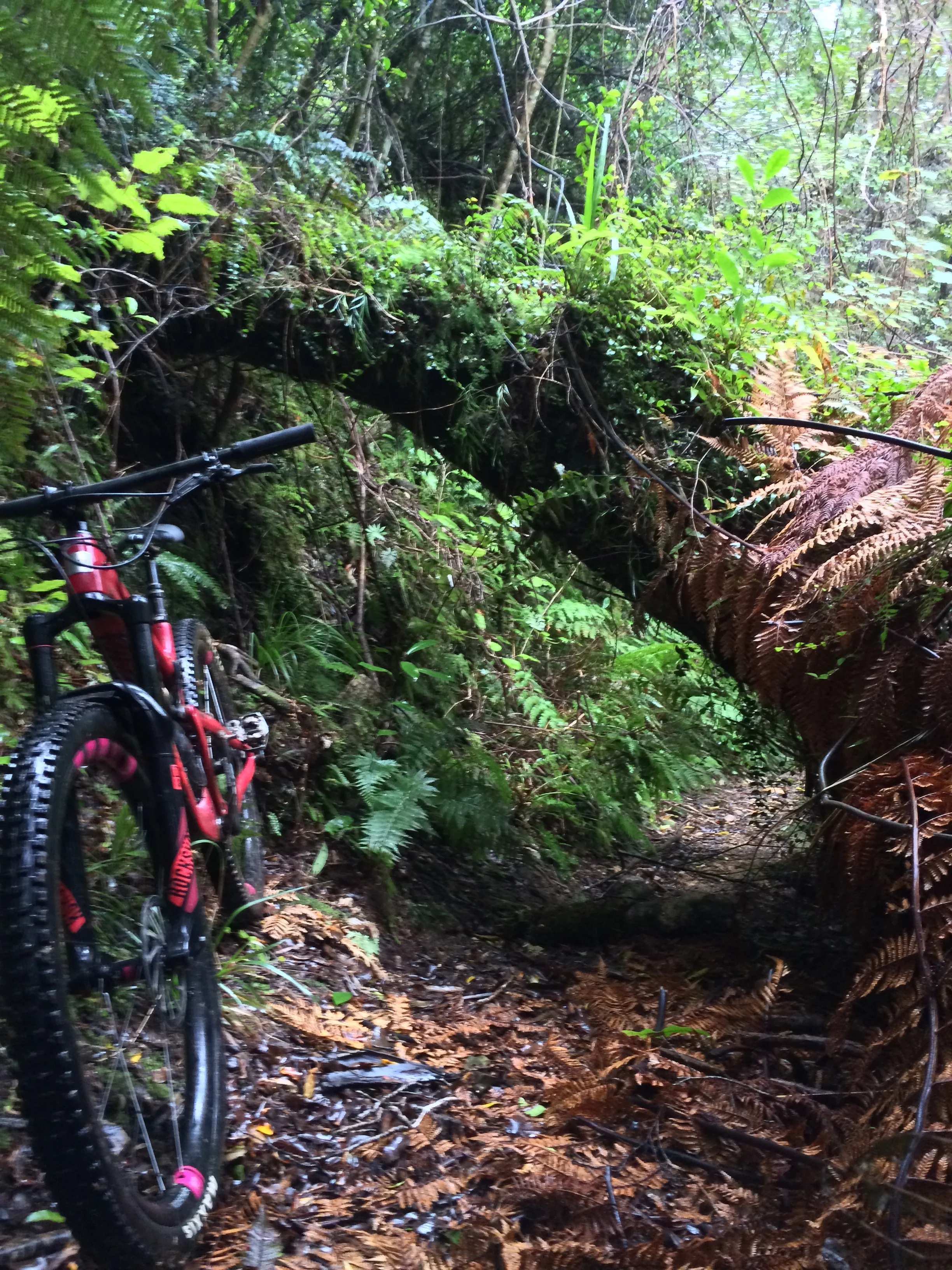 There are a few little climbing sections to break it up.