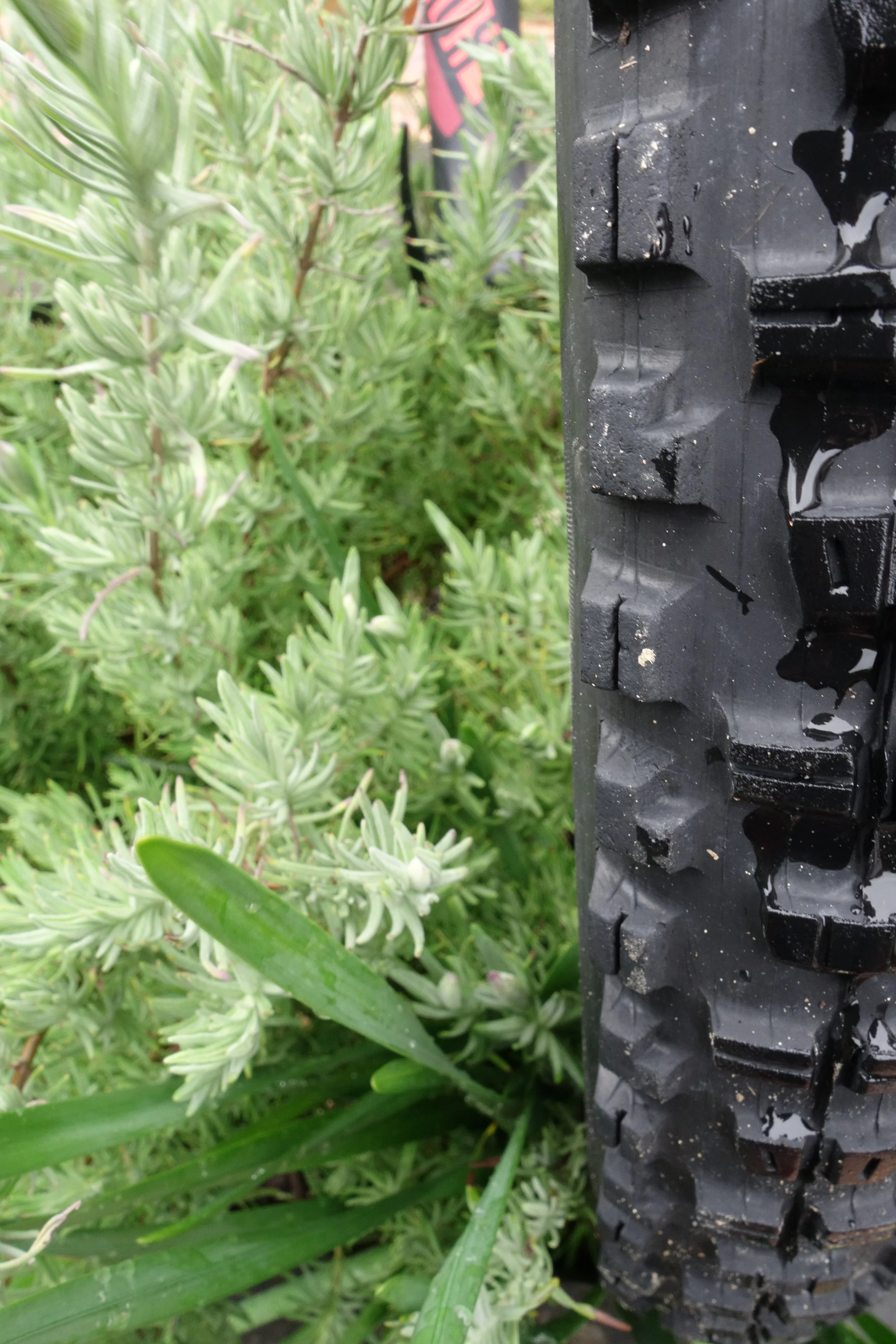 This is a 14 psi 2.3 Minion DHF on a 29er 40mm rim. You can see that the sidewall sticks out about 2mm. I've been running it all winter and not one puncture or even a scratch. Low pressure helps the tyre deform around sharp objects. Think a half blown-up balloon...so much harder to pop.