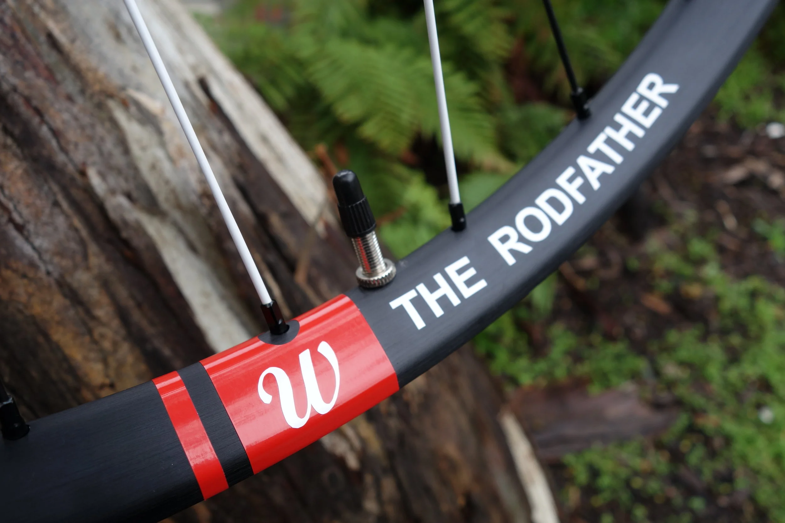 You can go alloy if you must, just no guarantee on rim damage. Stans, Raceface and DT have some good offerings now. This is an Easton ARC30 (now under the Race face brand) for when I want to remind myself what skinny rims ride like.