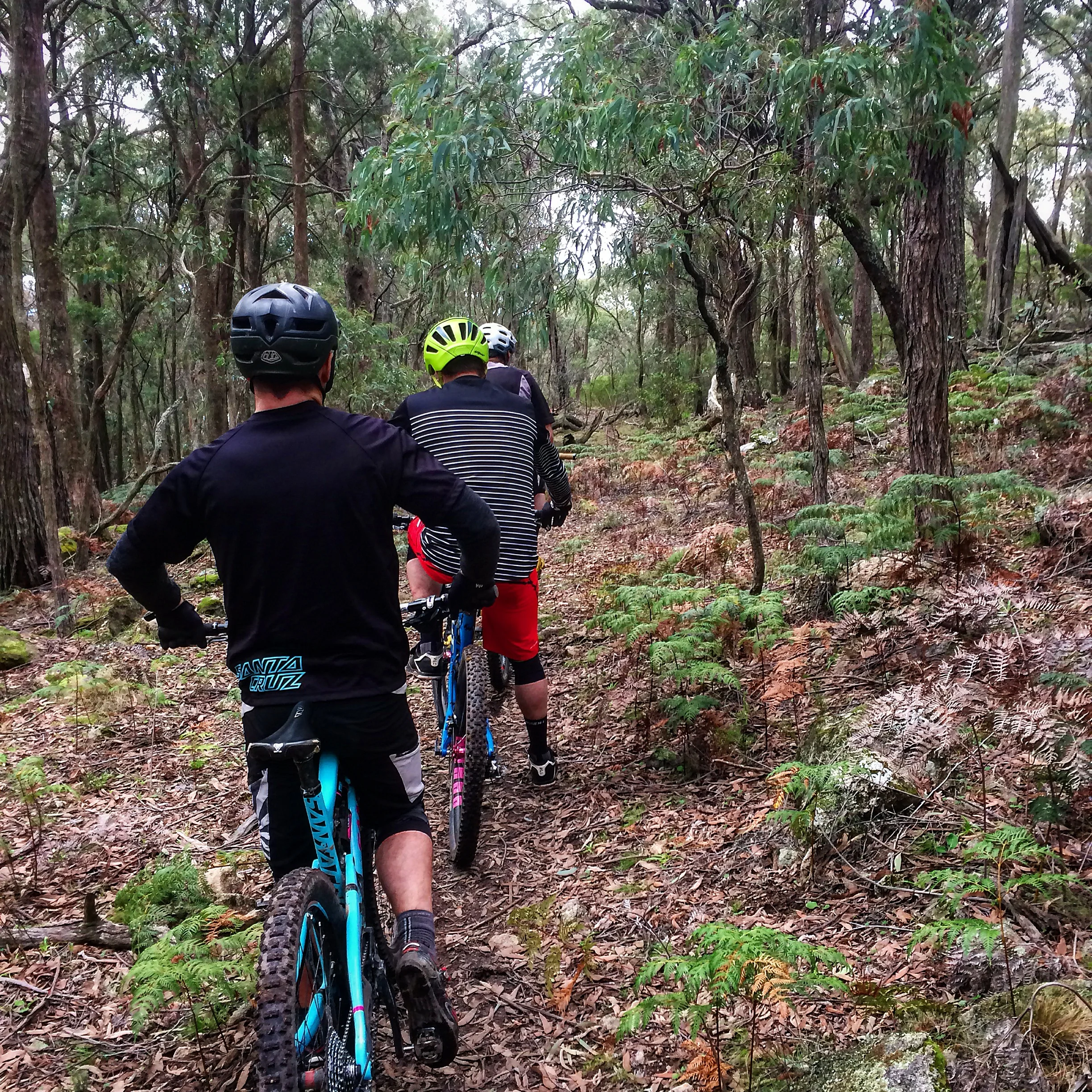 De-Clutter Your Ride.