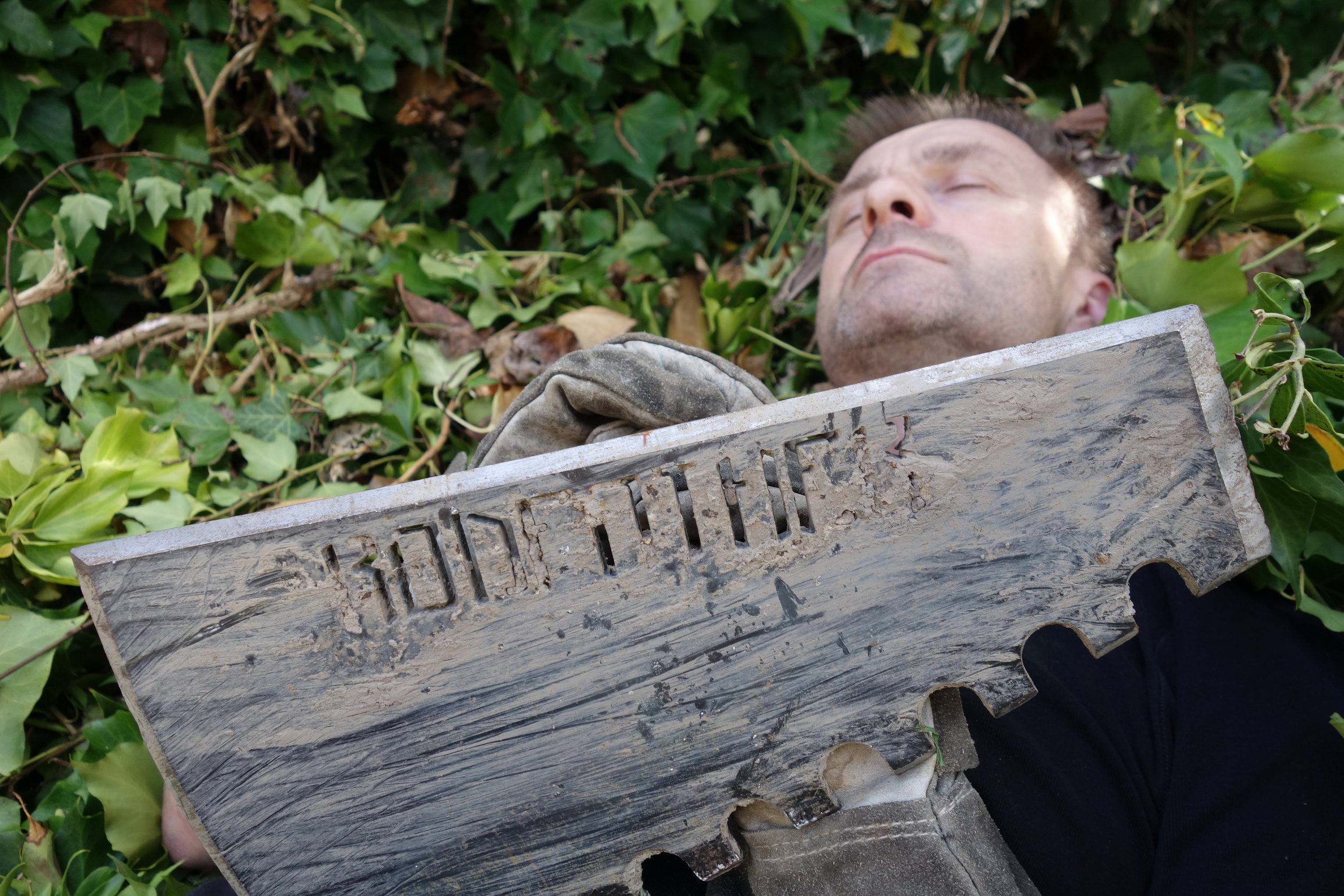 SPECIALIZED BIKES ARE DIGGING YOUR TRAILS