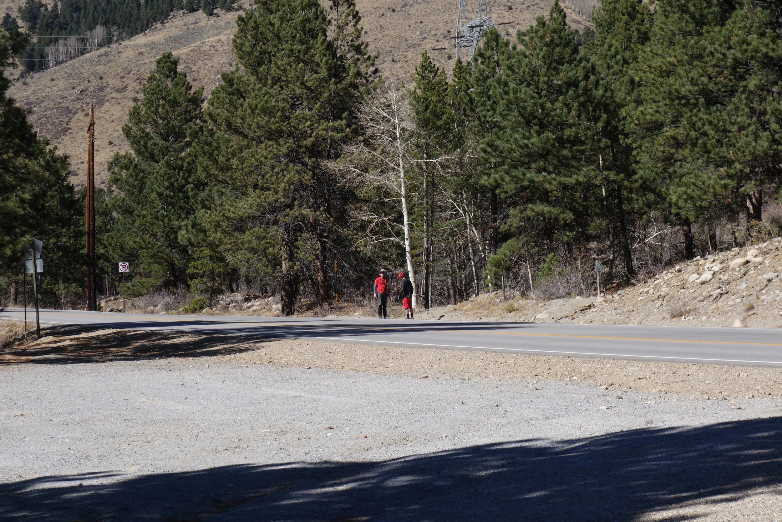 Stefan and Jeff look the most inoffensive so they get chosen to hitchhike.