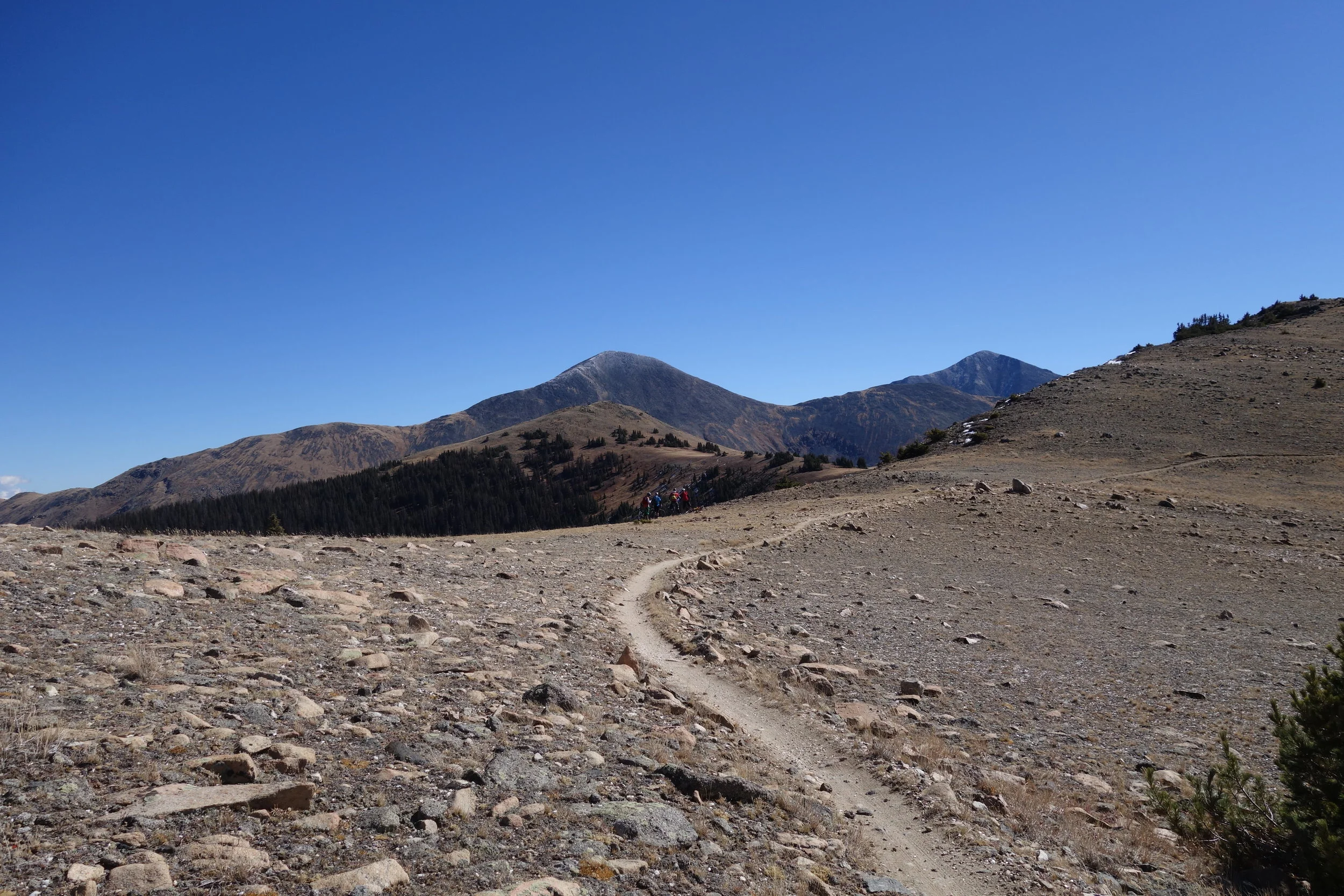 DAY TWO. SO MUCH SINGLETRACK IT HURTS.