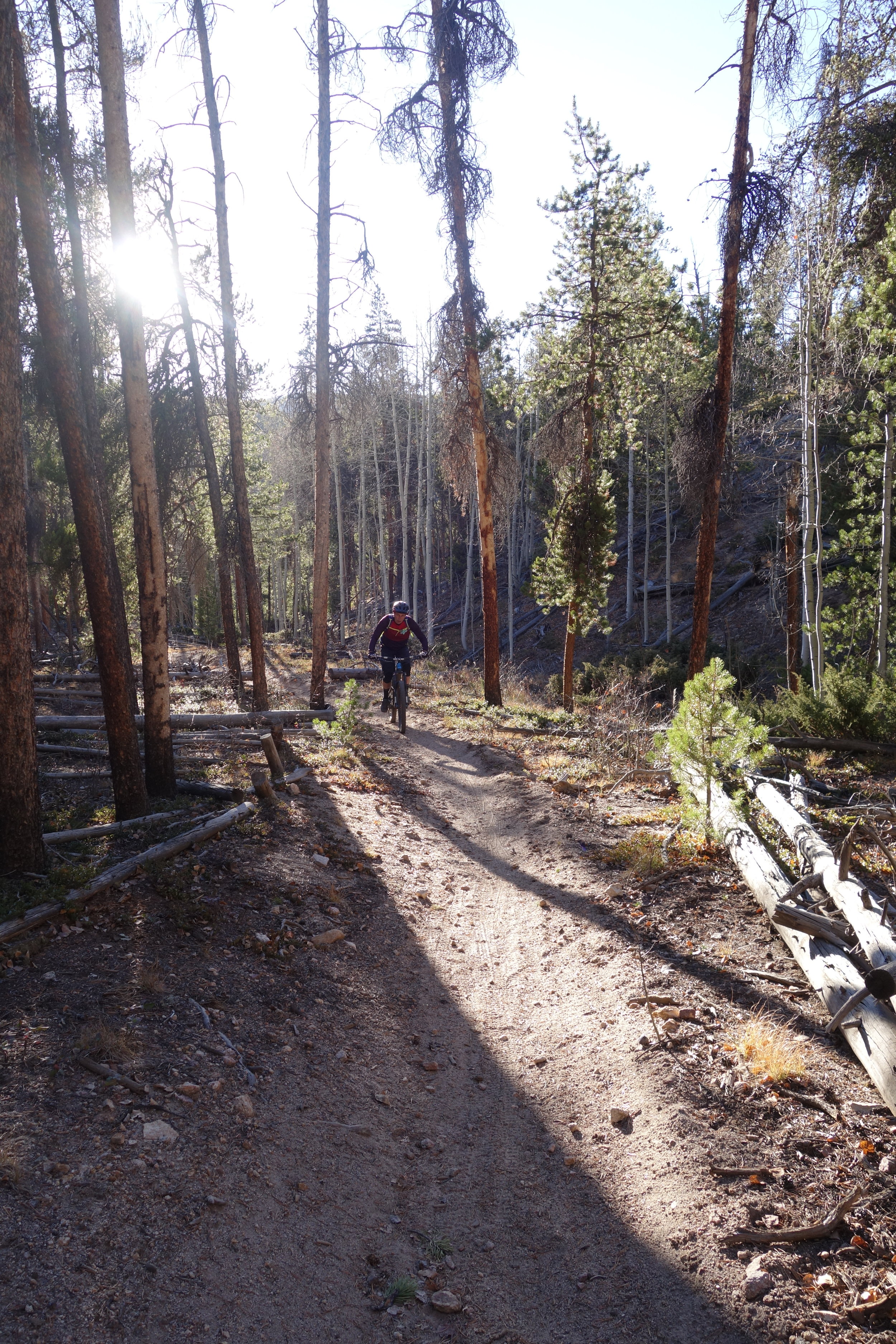 Oh great. Some top trail designer decides to put in a 50 metre vertical climb at the 5 and a 1/2 hour mark.
