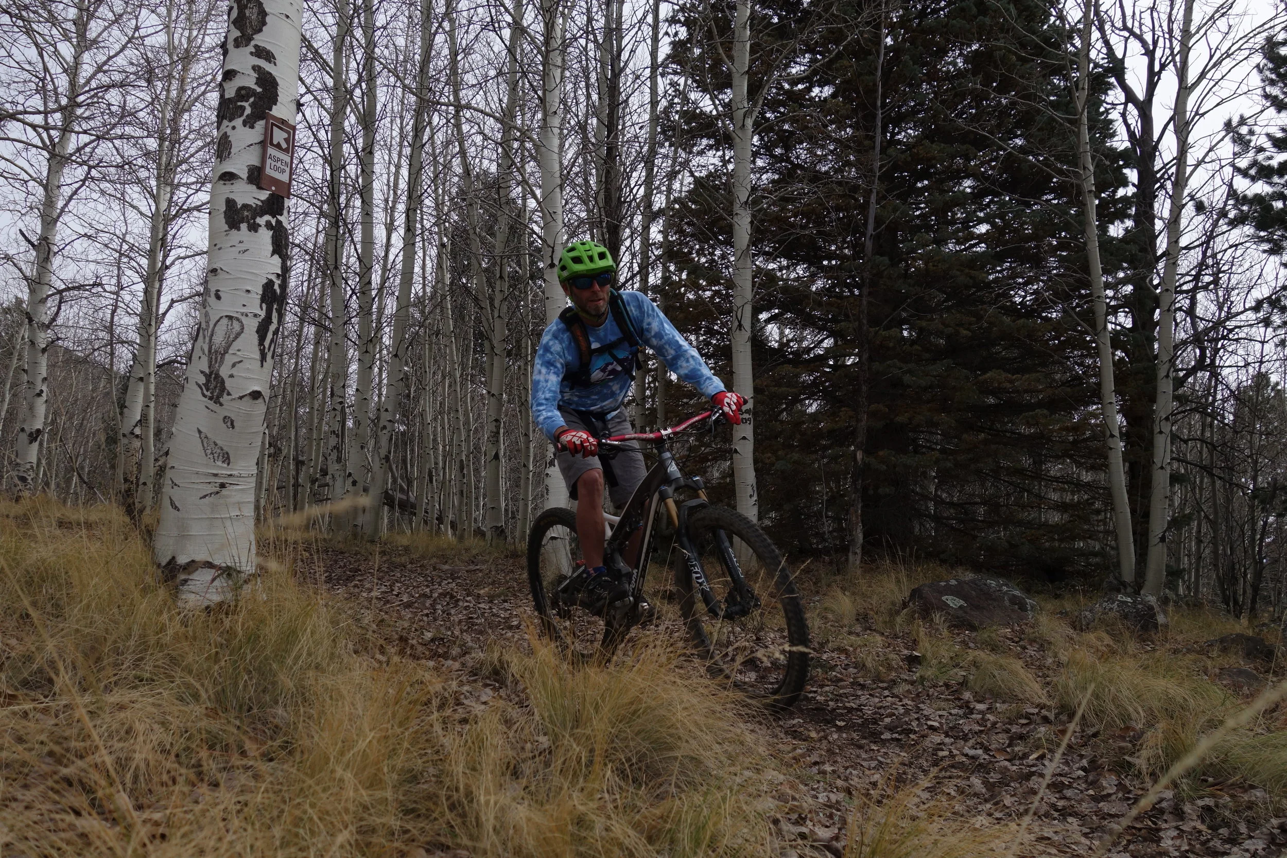 Local rider Dan, a friend of a friend, was roped in to show us the Alpine meadows and forest of Flagstaff.
