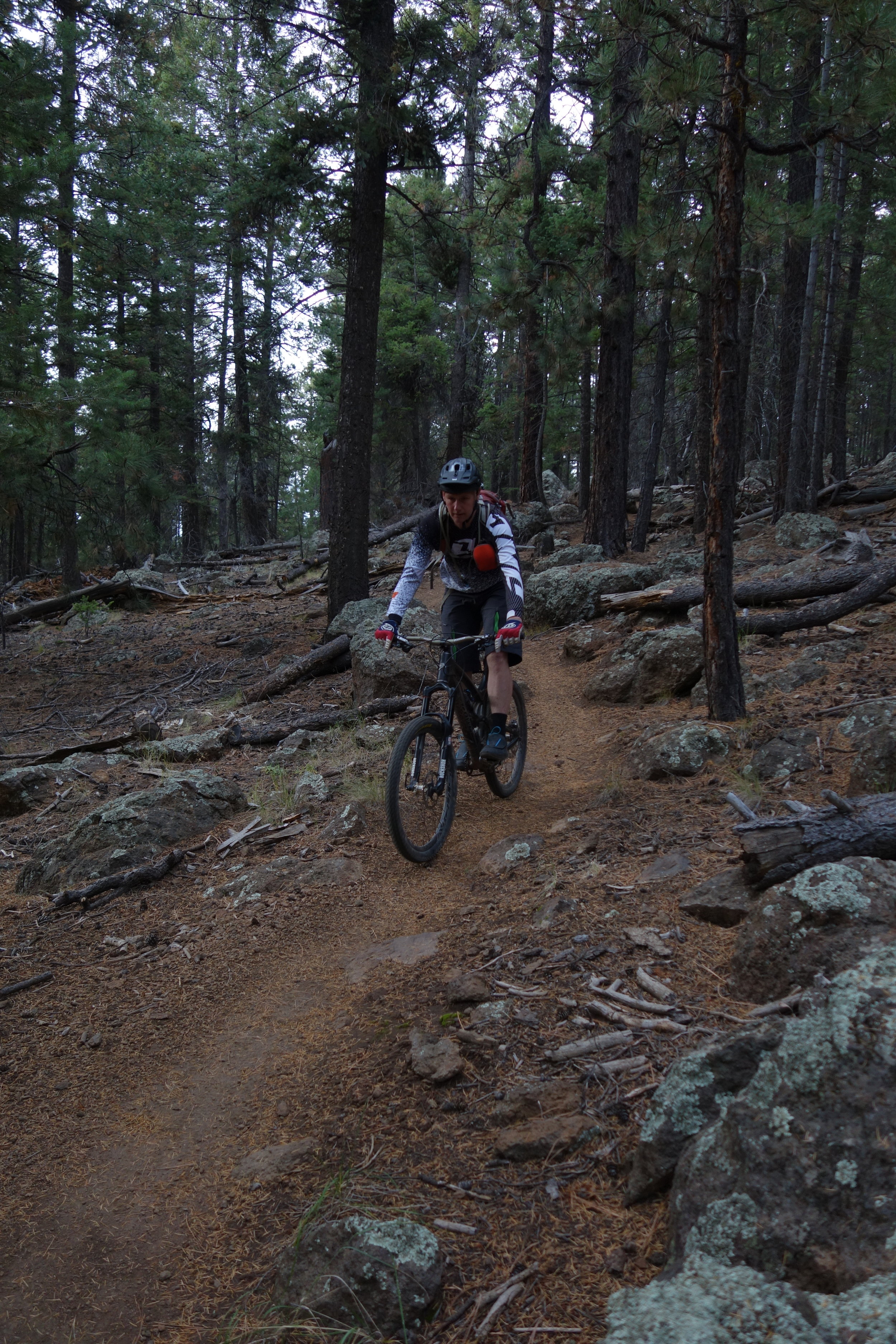 Can you imagine 30 minutes of descending this trail? Stefan about halfway through.