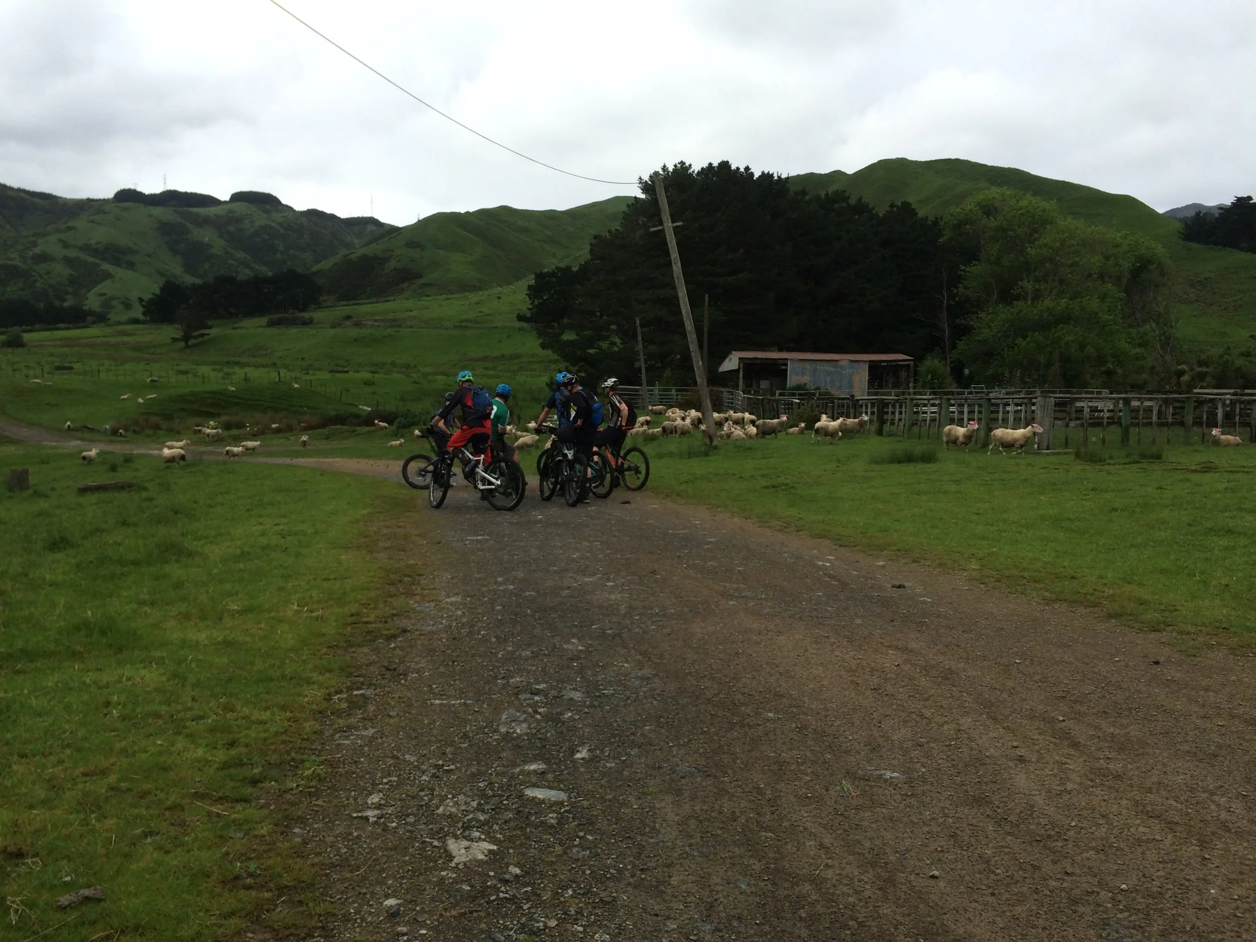 30 seconds in and the boys pull up. I thought they were throwing their toys already having seen the farmland and sheep, but it was just the absence of James Horan who was stuck in the loo from last nights spicy Mexican jalapenos.