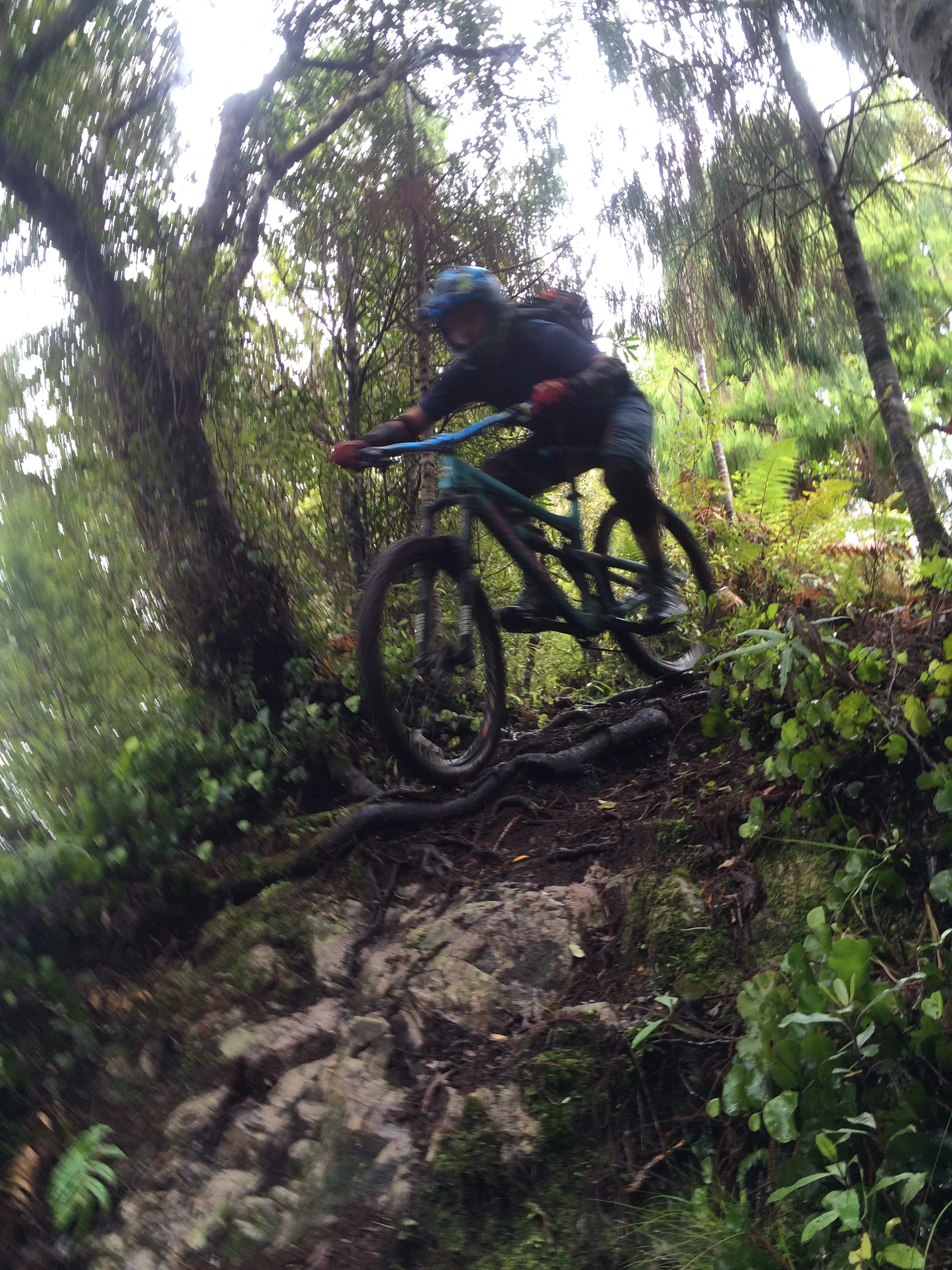 Not sure why Hunter is getting all the fame...Garden of Eden rock drop.