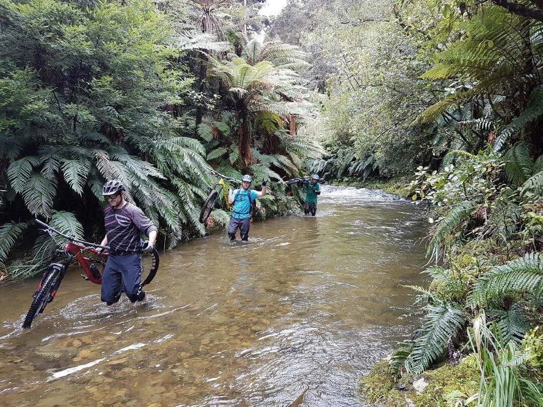 "This used to be a mint trail, I think it may have rained last night".Phew, John and Merv Ward are still smiling. Me trying hard not to drop the Hightower or my phone. photo: Ruben Peterson