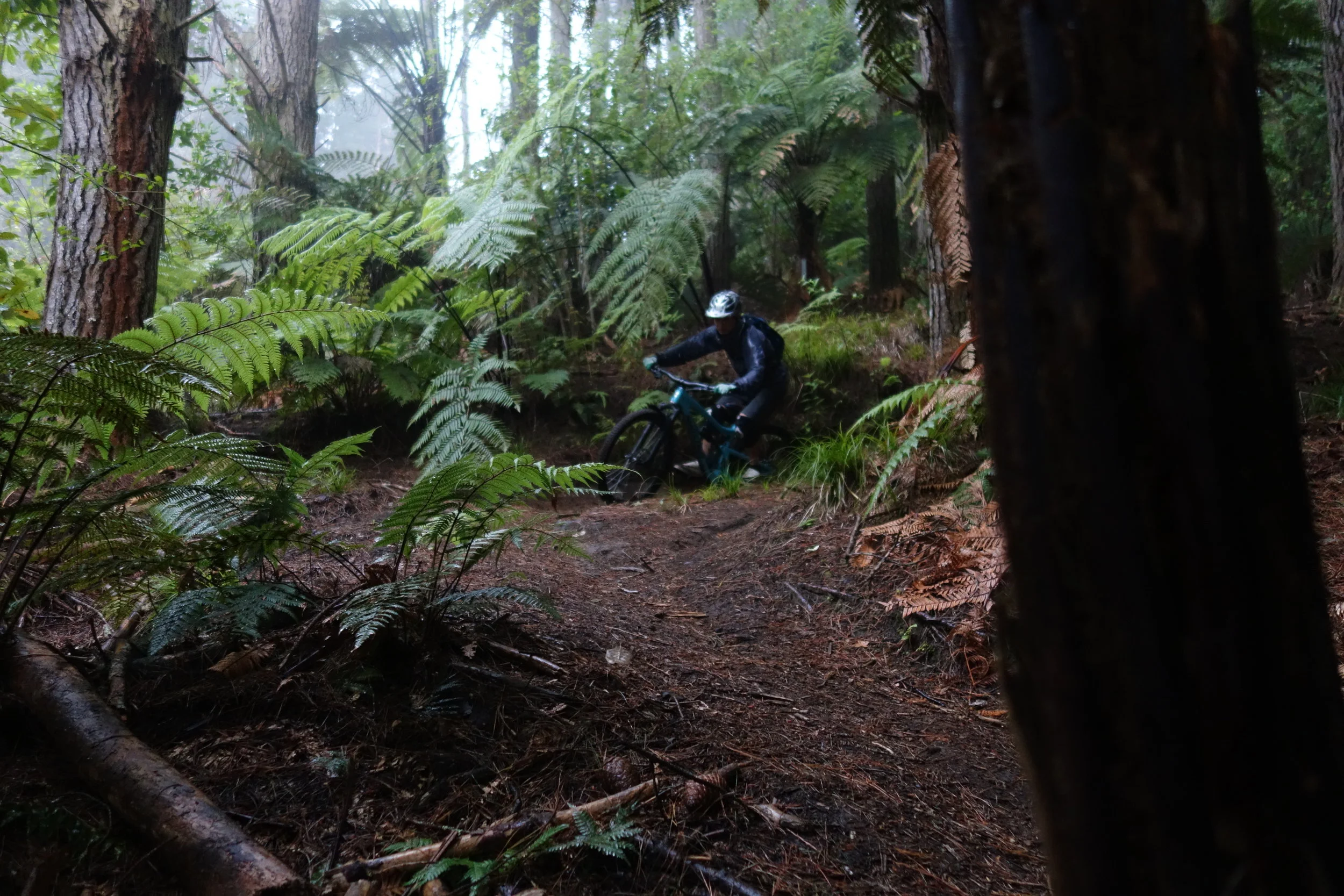 Aaron kept getting us lost in random jungle singletrack. Awesome.