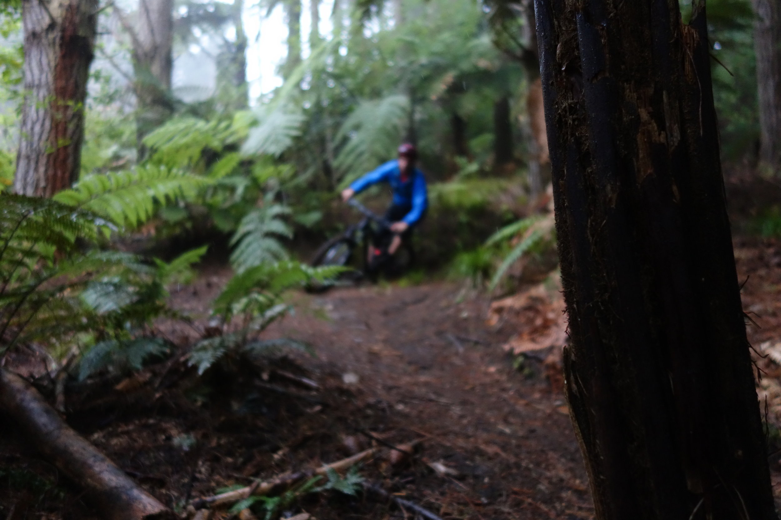 ROAD TRIP TO VEGAS BABY