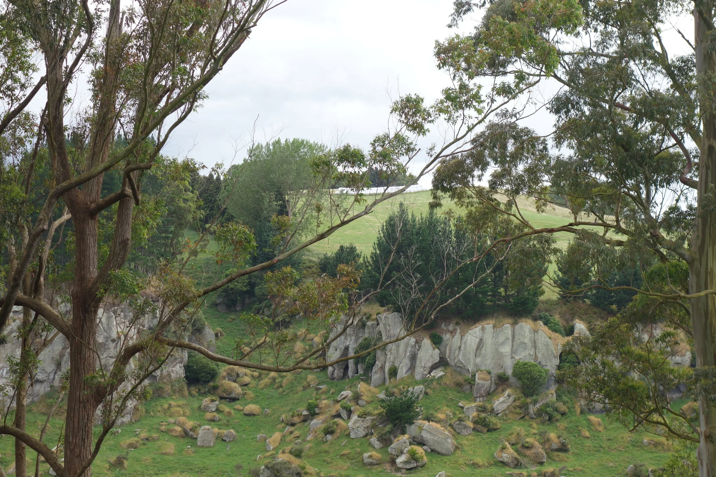 The majestic rock formations of Castle Rock.