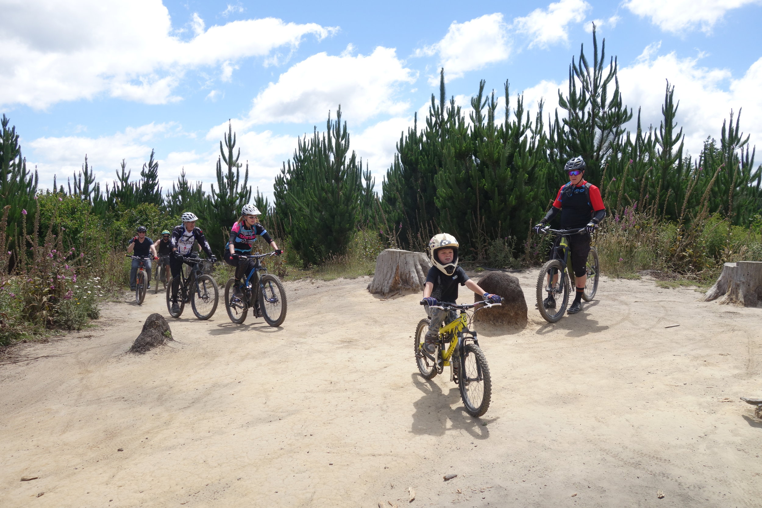 NINJAS ATTACK THE REDWOODS