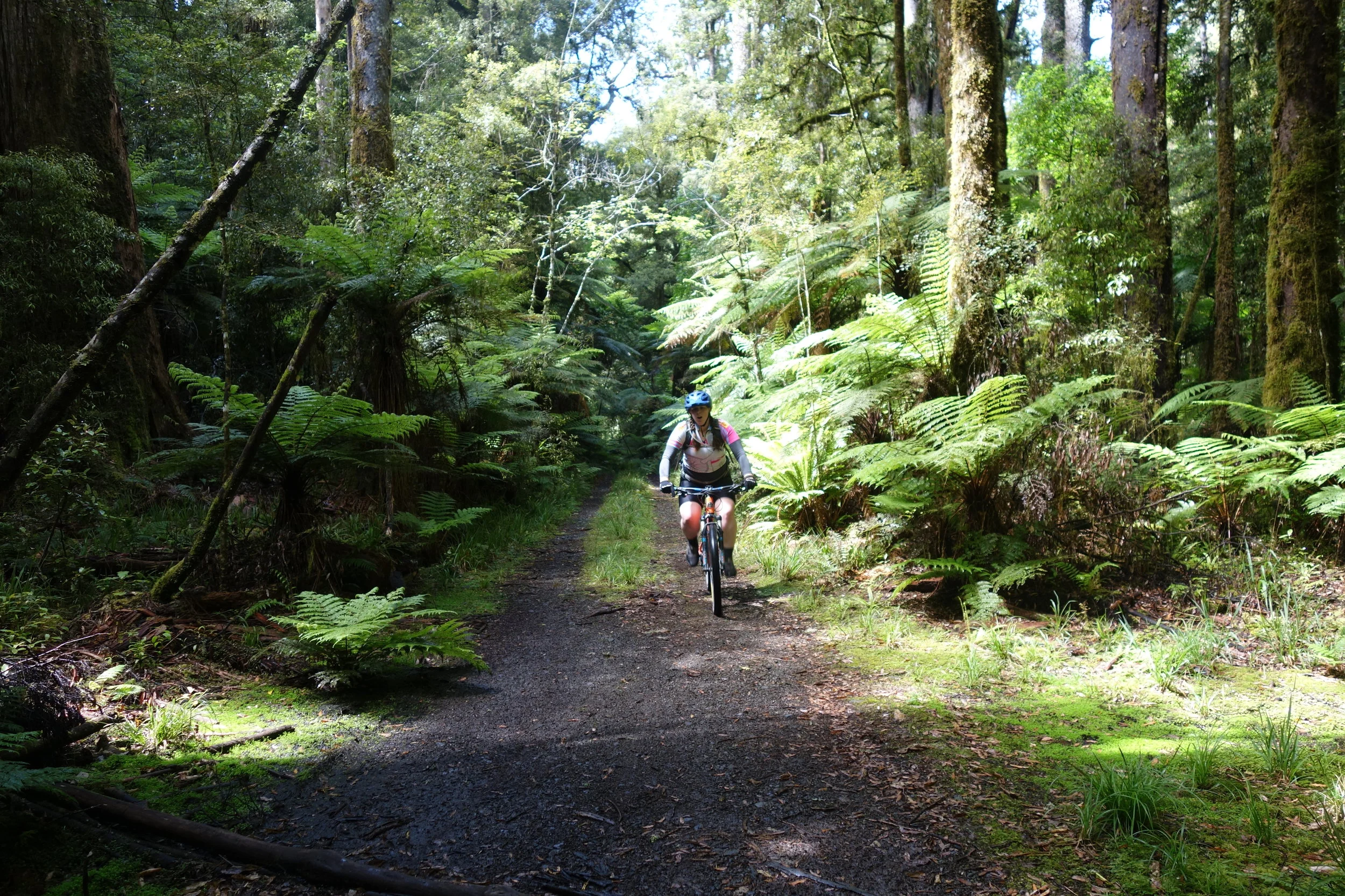 Kristina cruising the dis-used logging road