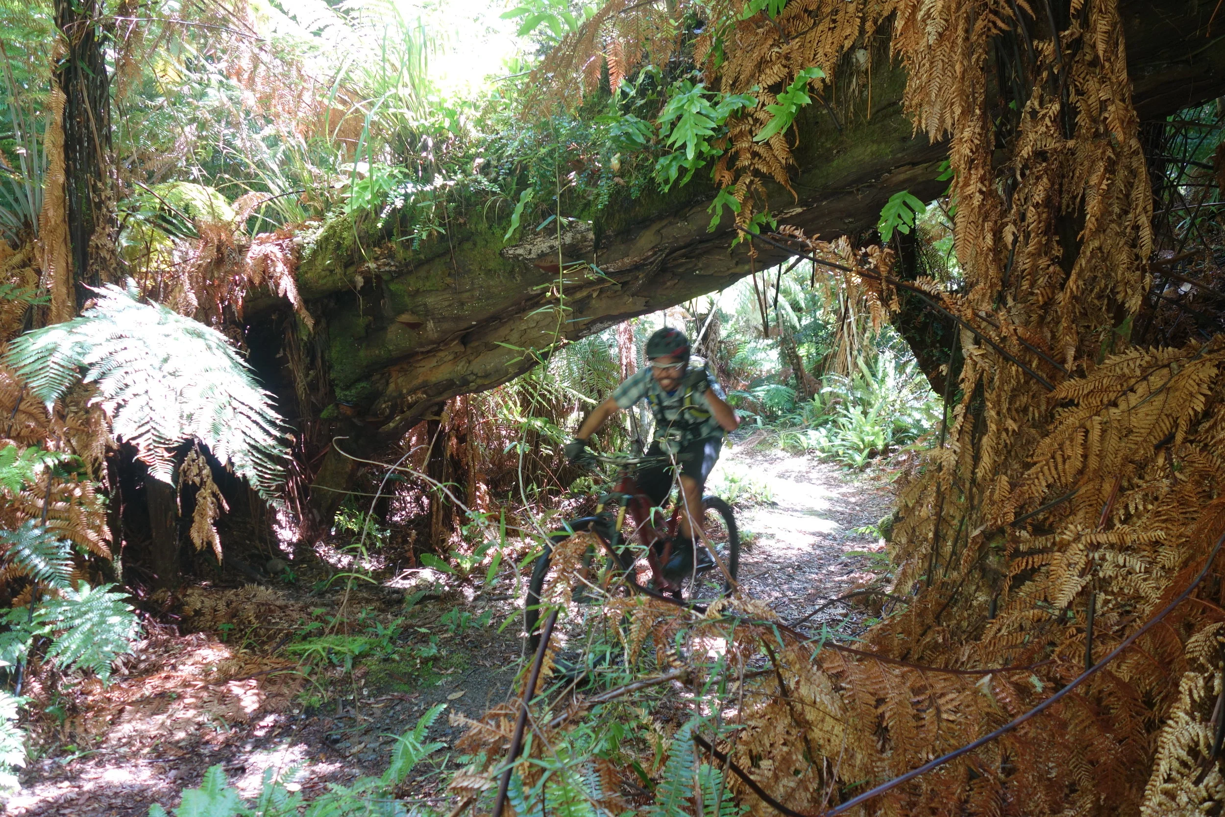 A blurry Jeff on the climb (I so gotta work on my photography).