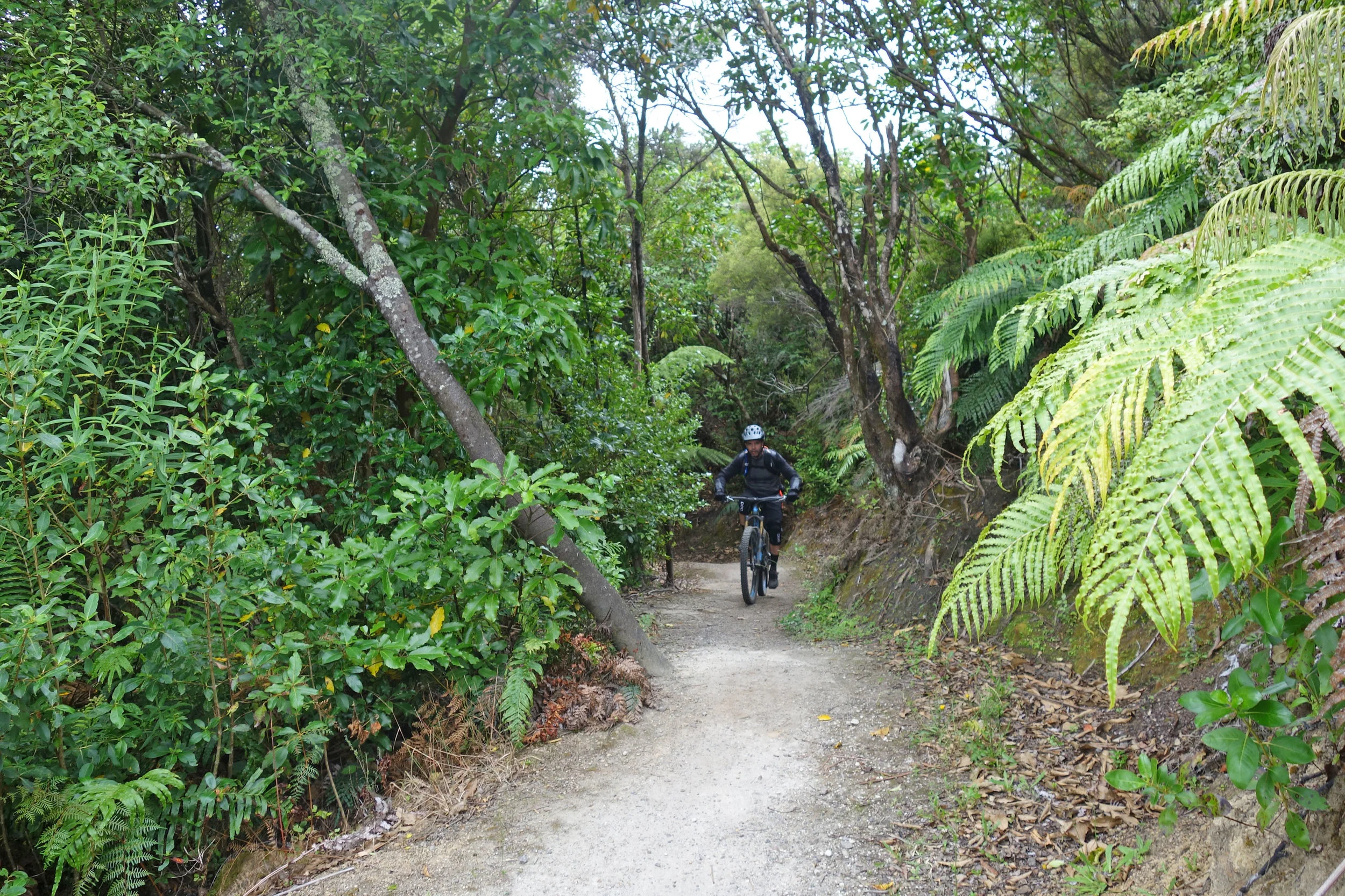 The K2K trail is pretty easy. A great warm down ride after a manic week.