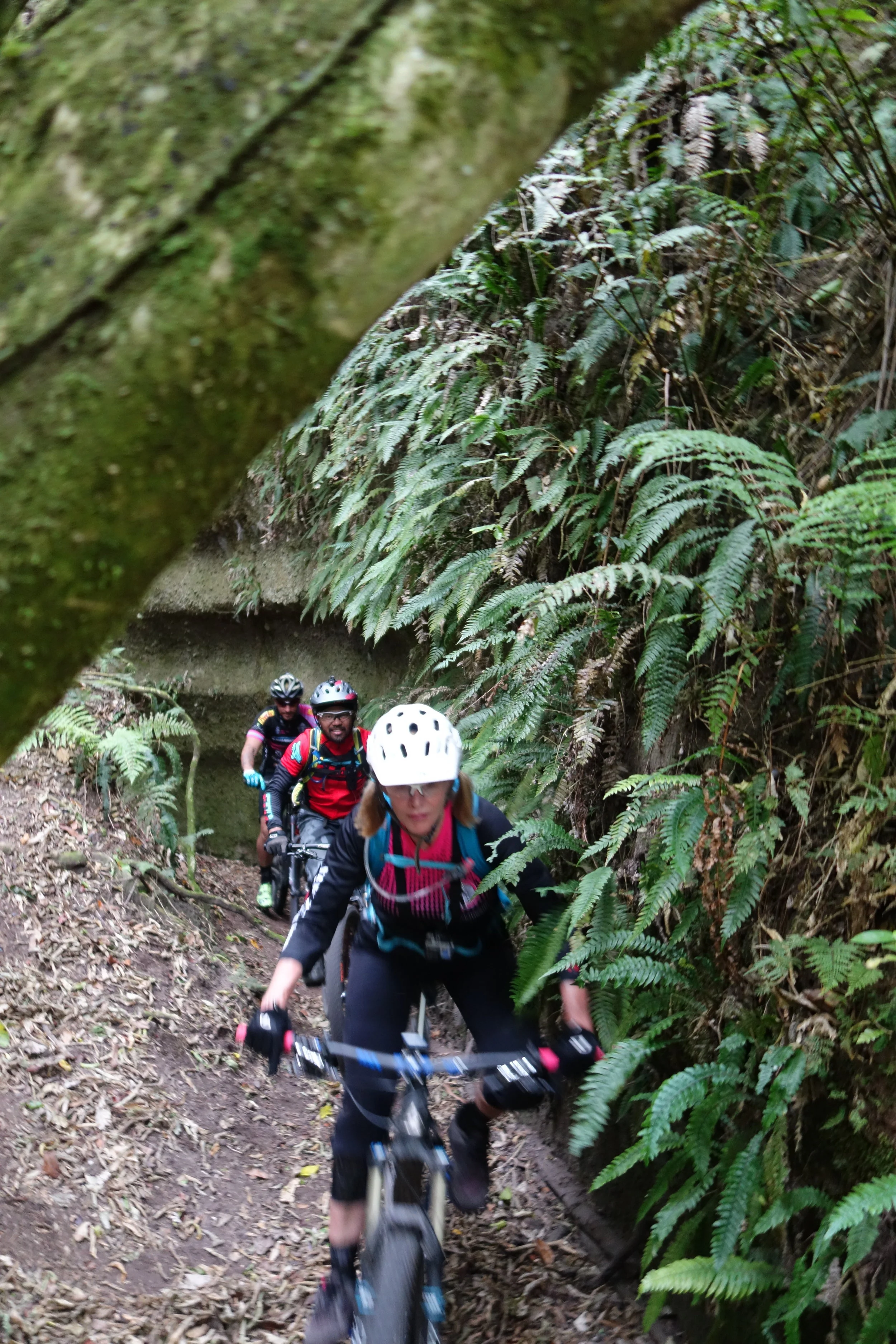 Exiting the ravine trail.