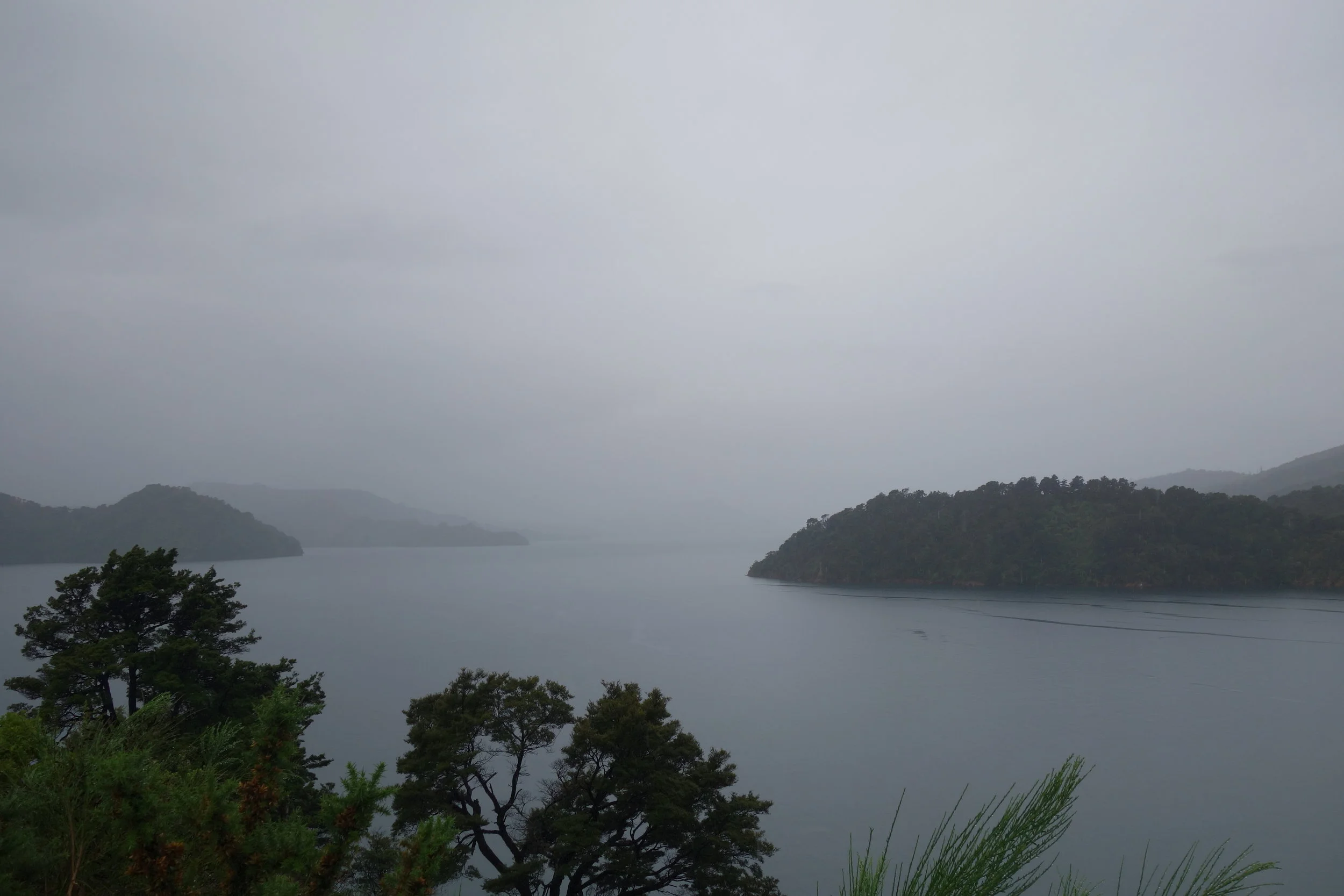 I've got all day so I take the scenic route along Queen charlotte Drive. Yes, it is indeed rain.