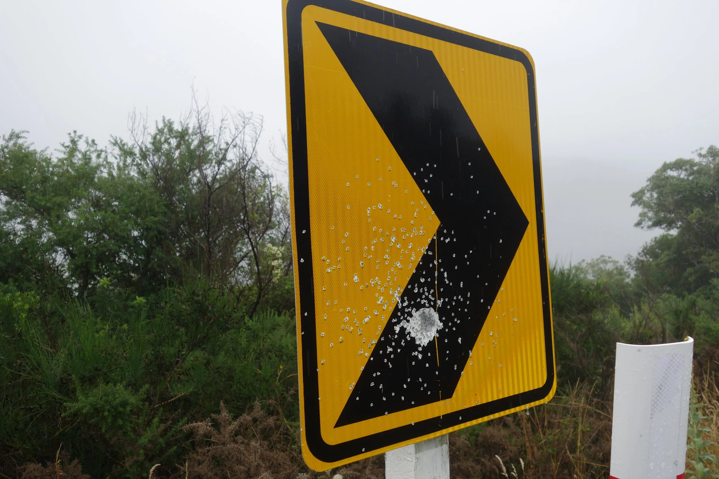 They breed 'em a little different in the South. Friday night fun with a car full of flagons and a shotgun. I counted 15 road signs in a row used as a gun range. Warning: DO NOT HITCHHIKE AT NIGHT!