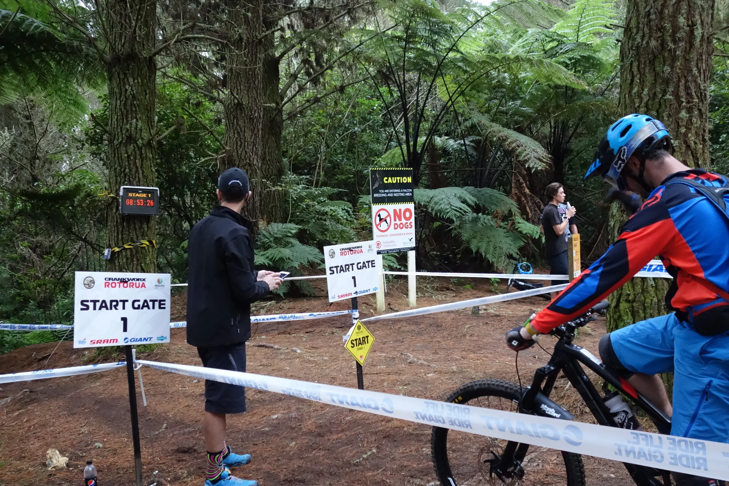 CRANKWORX: WHAT THE HELL IS THE EWS ?