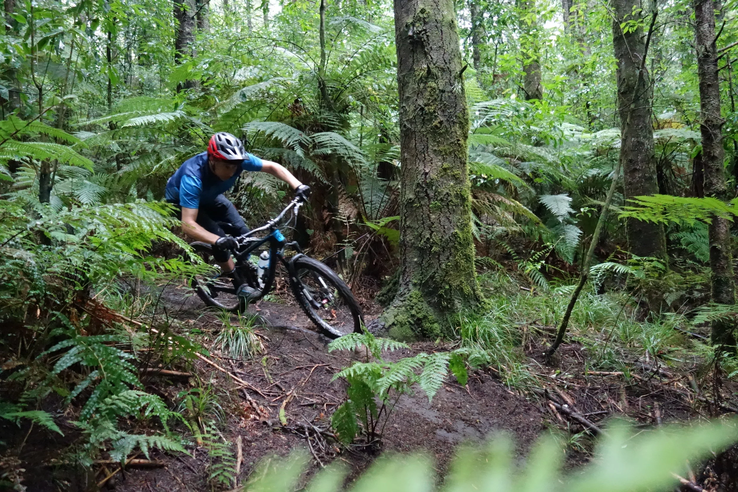 The next day after torrential rain and the trails are nearly dry already. Hero dirt for miles with a few slippy bits for added fun. Jeff Carter is surprisingly fresh after his 4th place in Masters at the EWS.