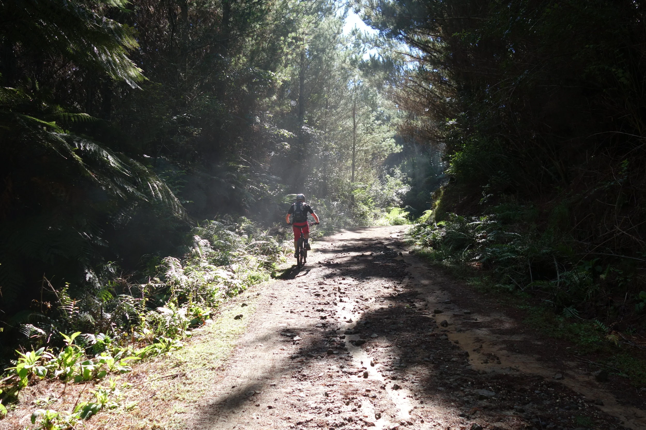 I'm struggling a bit today (most days lately actually) and I sit at the back most of the morning wishing I trained smarter, drank less, and was 20 years younger) Simon in the mist heading up to the top of Tumeke.