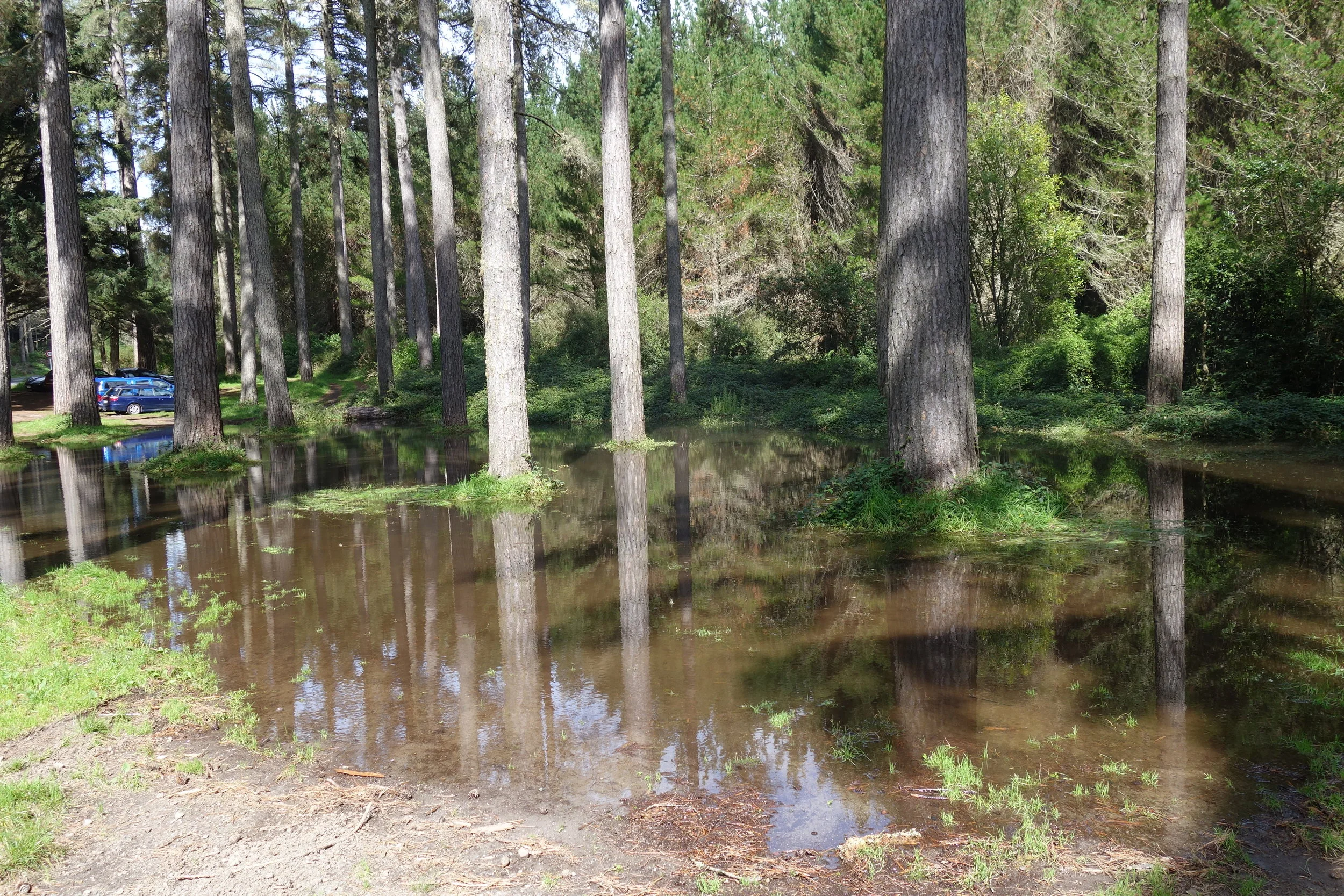 Have I mentioned there had been a bit of rain lately. I hear that 2 weeks later, Lake Mile Gate is still there.
