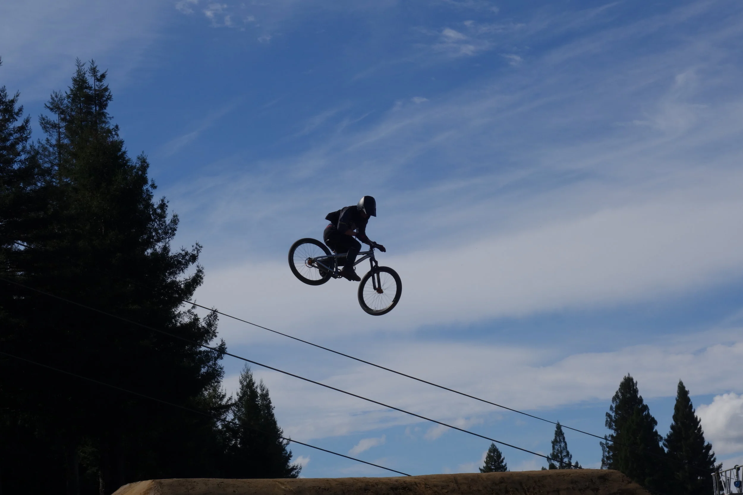 HOLY CRAP! is that ET? I should never have looked up...Or eaten those mushrooms. Did anyone else see that dude riding his bike across the sky?