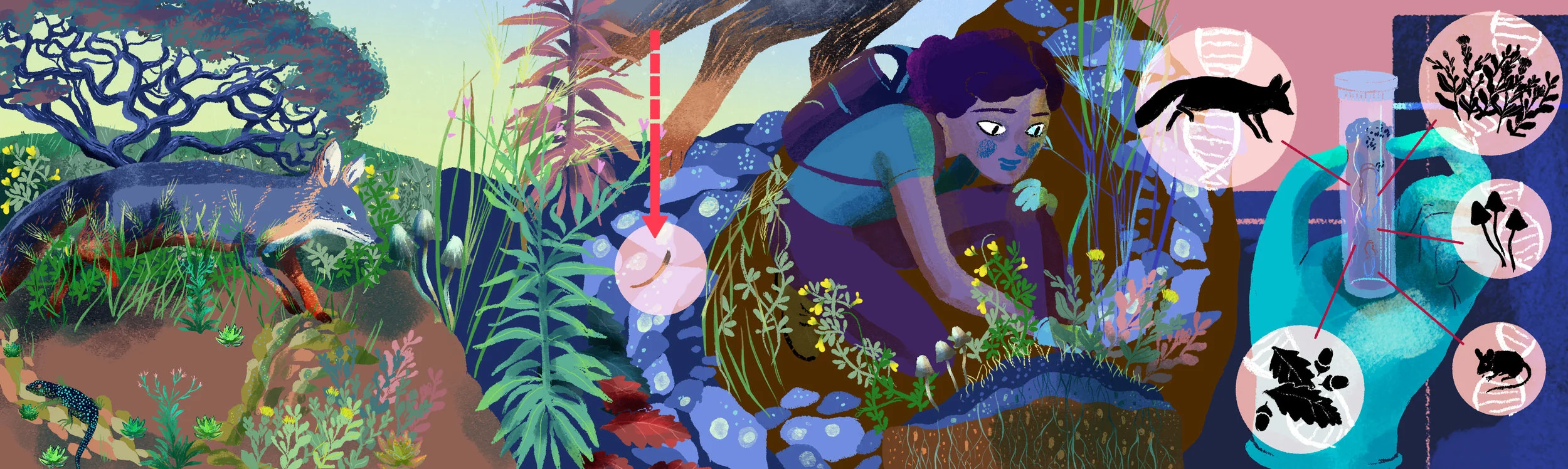 banner2_comp.jpg