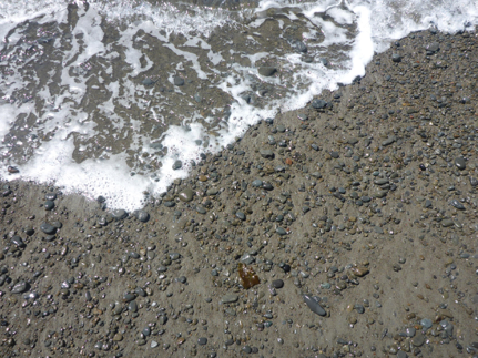 Fig: Van Damme SP swash zone.