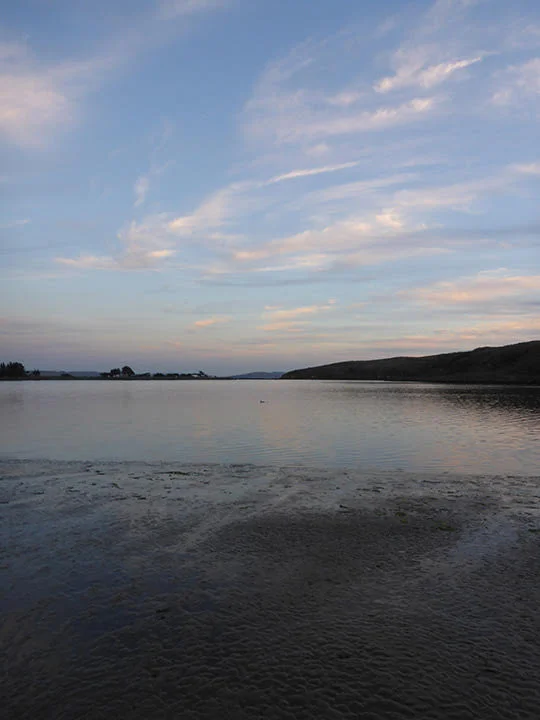 Sunset at the last of our sites, Bodega Bay, for the Fall coastal eDNA Bioblitz.