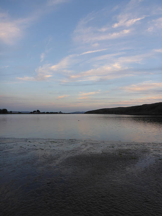 Sunset at the last of our sites, Bodega Bay, for the Fall coastal eDNA Bioblitz.