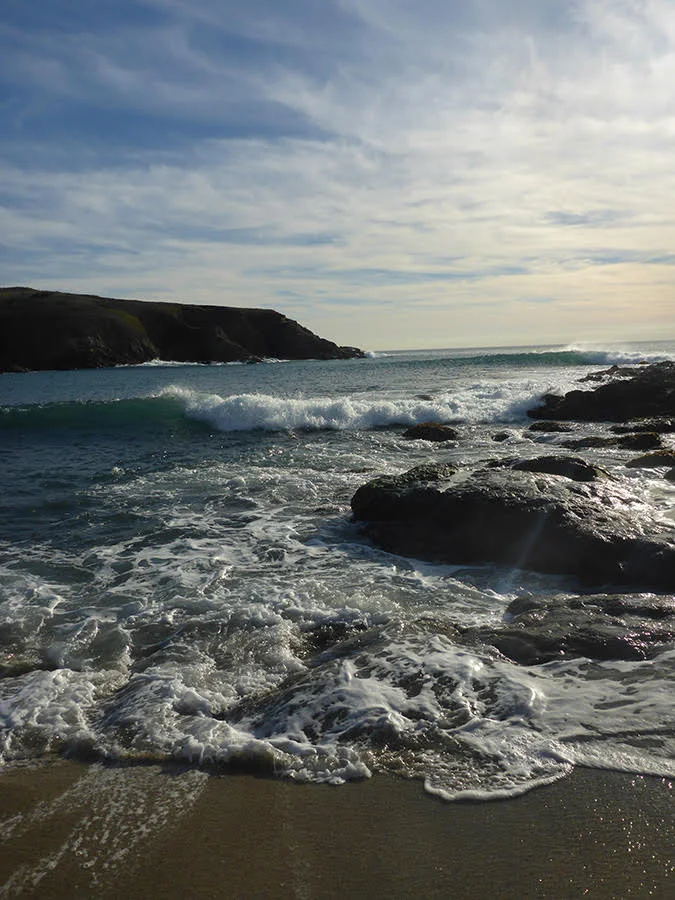 What is in these waves, and from where did it come? &nbsp;CALeDNA sample K0307-LA-S1 will have some answers!