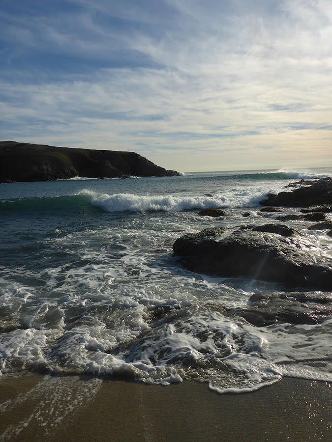 What is in these waves, and from where did it come? CALeDNA sample K0307-LA-S1 will have some answers!