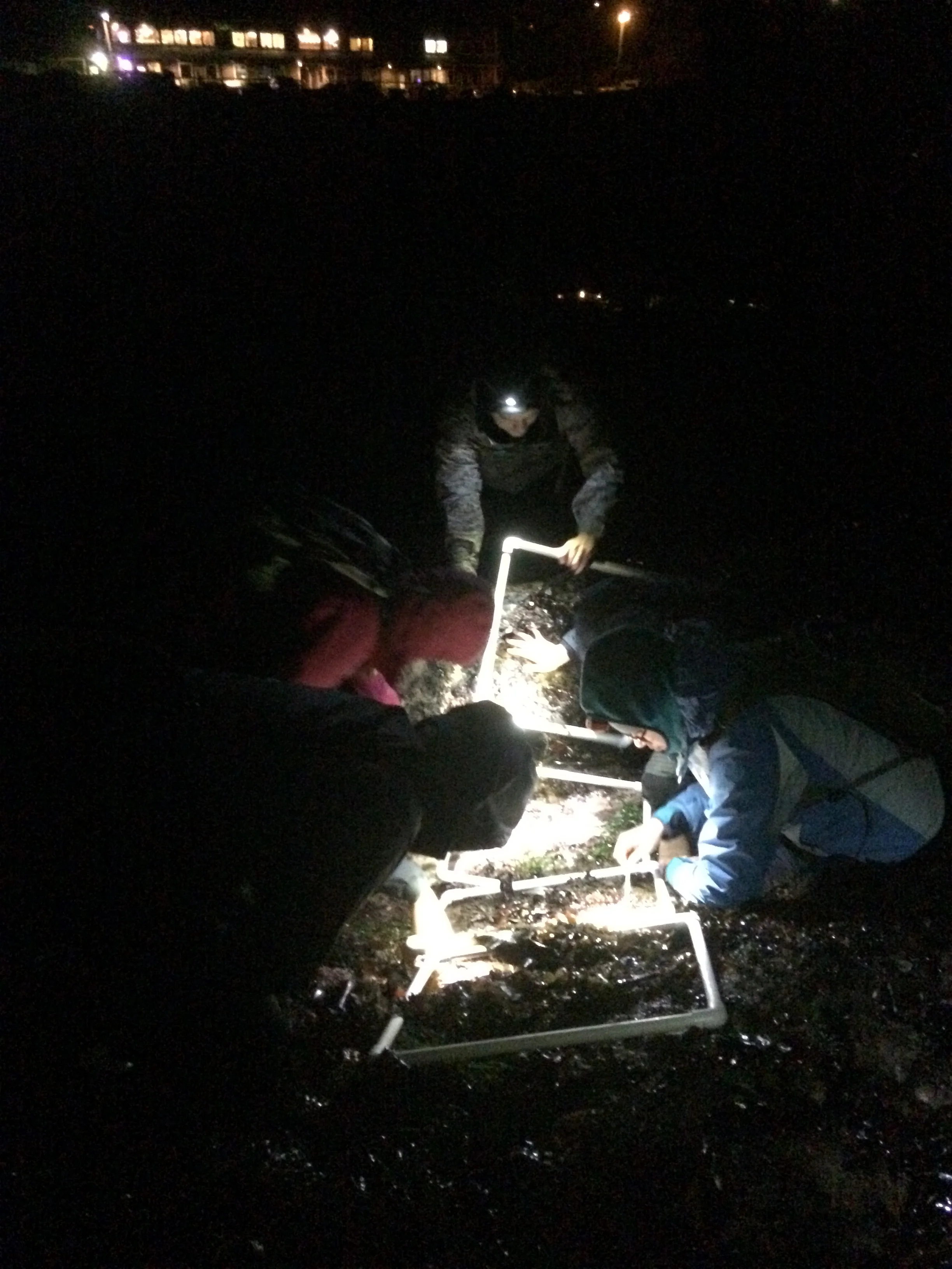  And even in the darkest night, the Dawson lab was recording sea star counts in the tidepools. Check out the UCCGC Ochre sea star project here <https://ucconservationgenomics.eeb.ucla.edu/projects/ochre-seastar/>&nbsp;