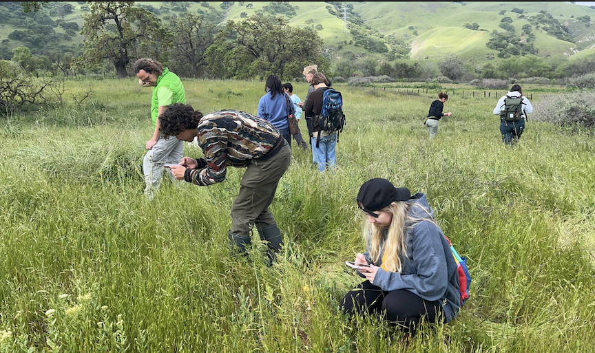 Paicines_CALeDNA_grass_hunt (2).png