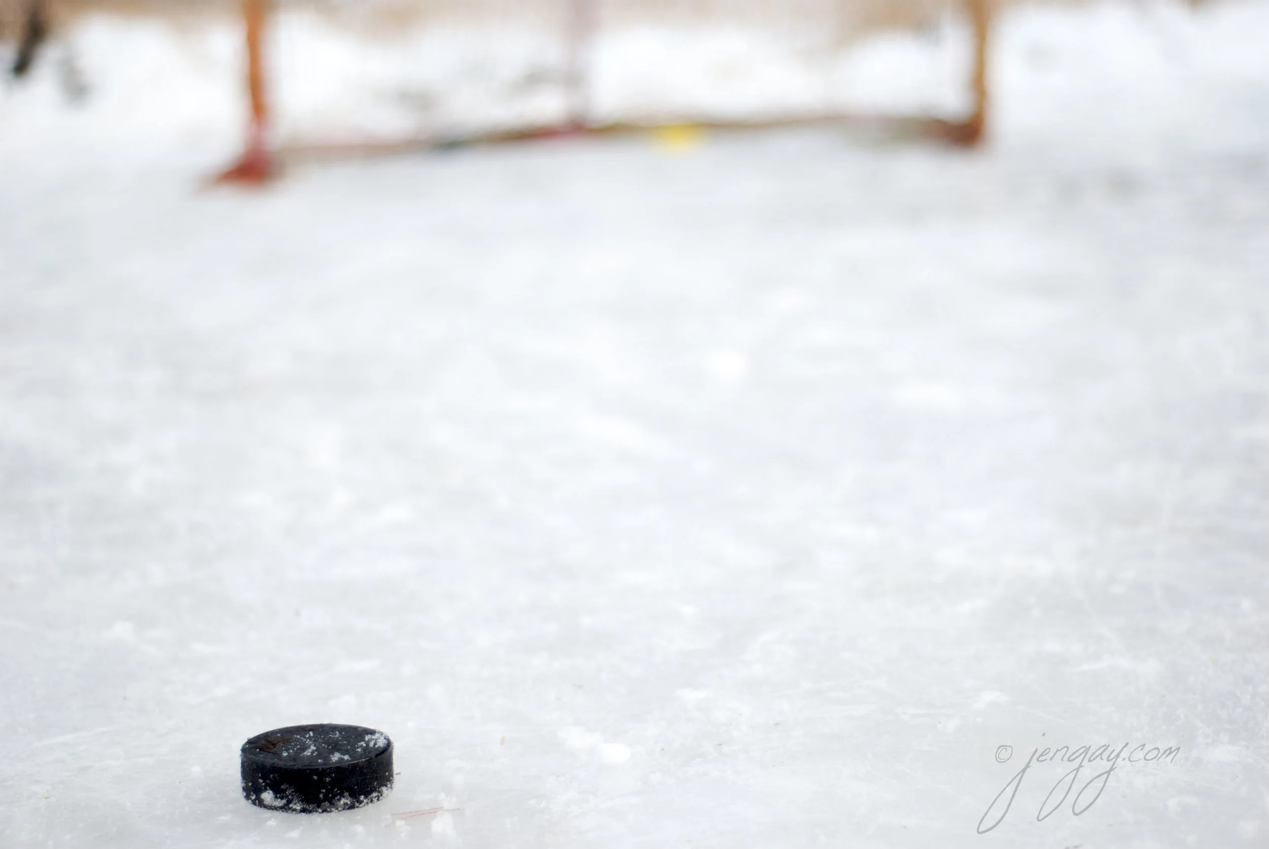 DSC_7719.jpg