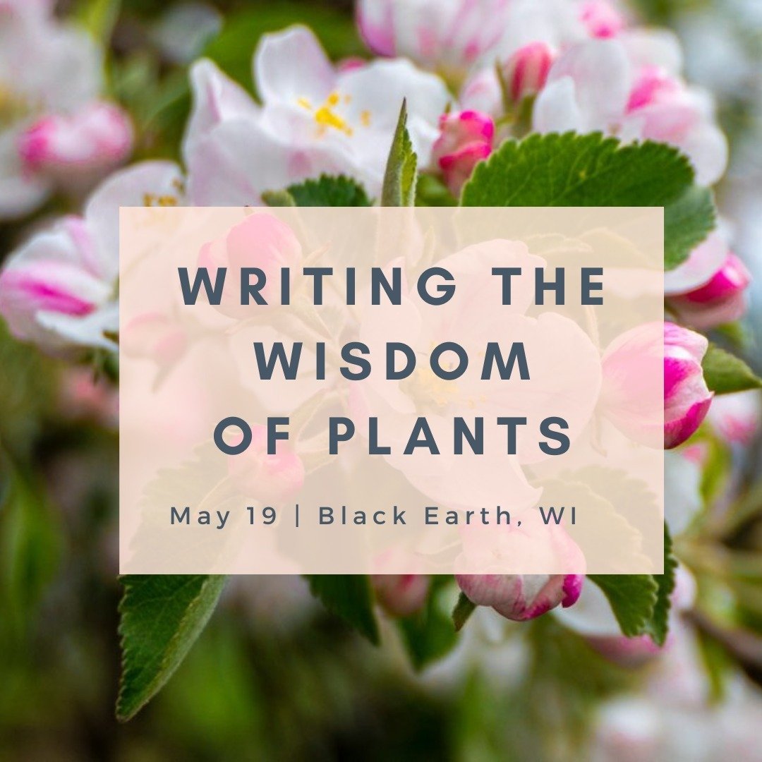 I'm so excited to offer this class in collaboration with @clarekritter of @hedge_meadow apothecary! 🌸 Link in bio.

What wisdom can we learn from dandelion, an apple blossom, or the budding burr oak? In this creative writing workshop, we&rsquo;ll us