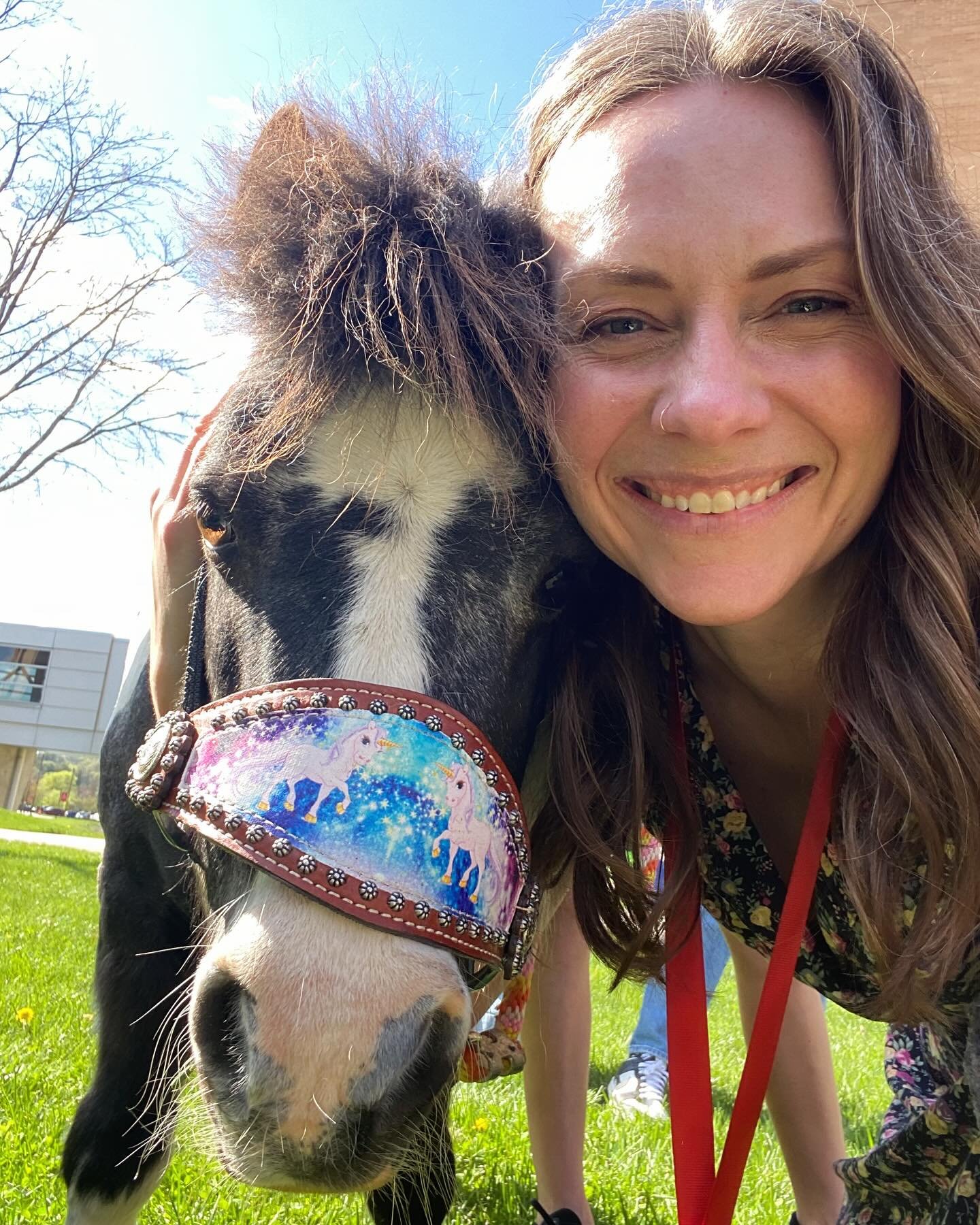 Dreams really do some true&hellip; #miniaturepony #greatdane #uwnursing
